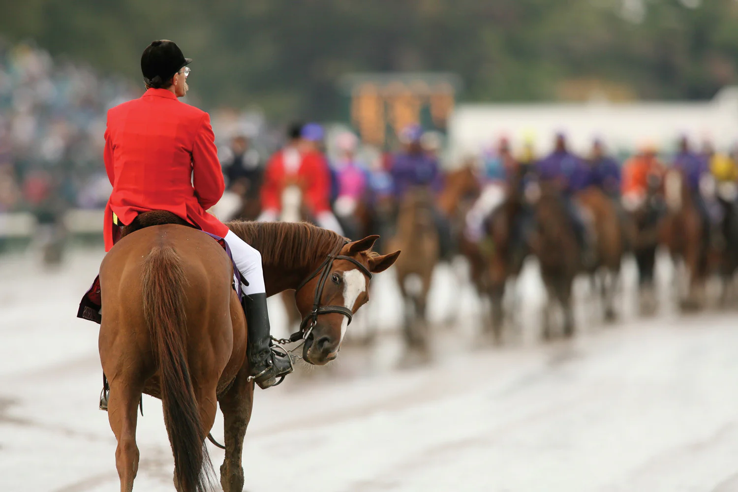 Monmouth Park: The Shore's Greatest Stretch Since 1870 - Image 8