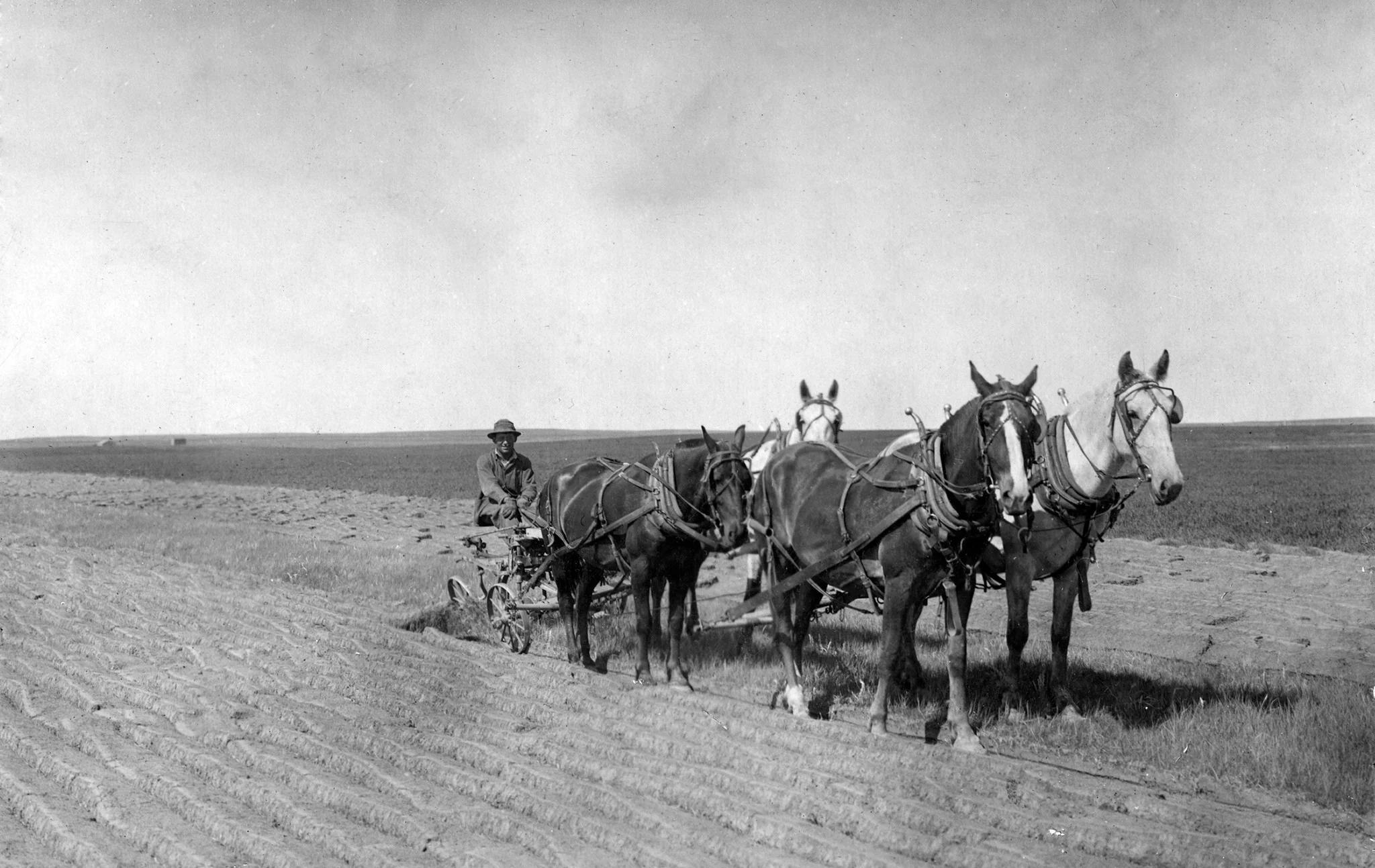 Montana Memories: Farm & Ranch - Image 11