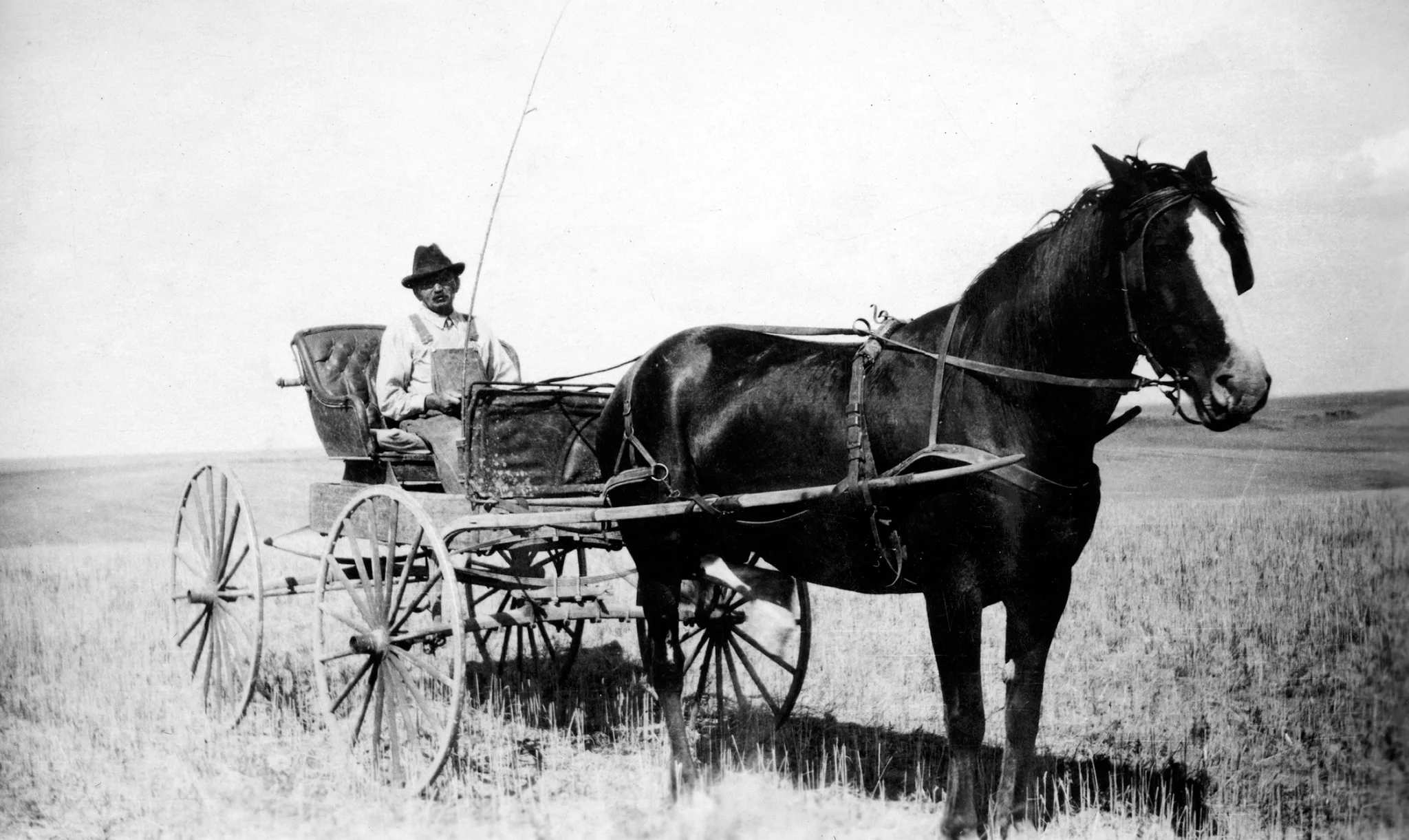 Montana Memories: Farm & Ranch - Image 2