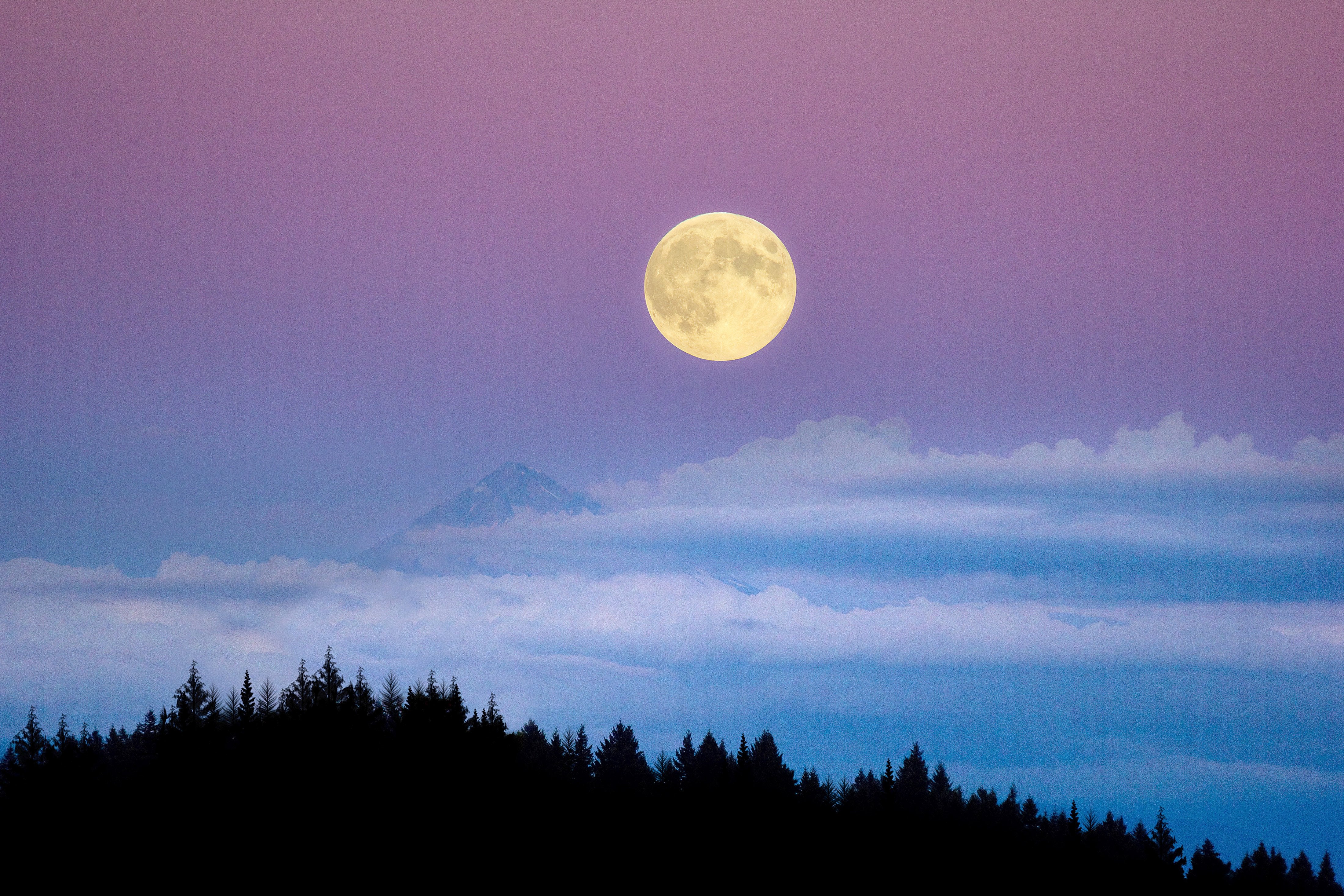 Mount Hood Revealed: 11,240 Feet of Oregon History, Adventure and Magnificence - Image 5