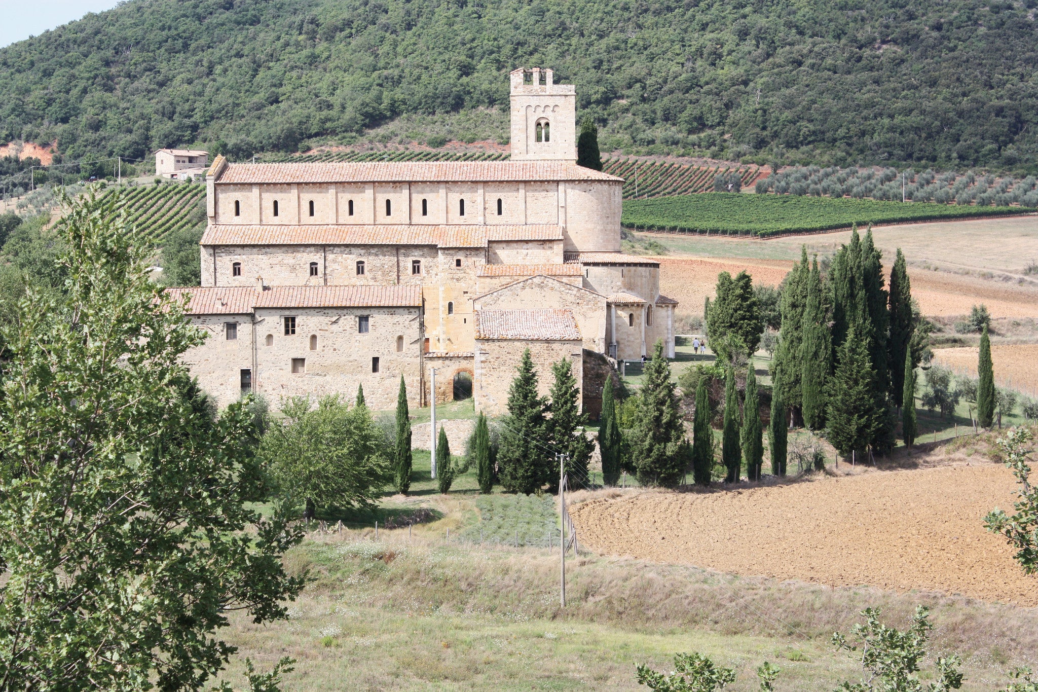 Napoleon Wasn't Exiled: Wine and Travel Journal by Victor Rallo Jr. - Image 8