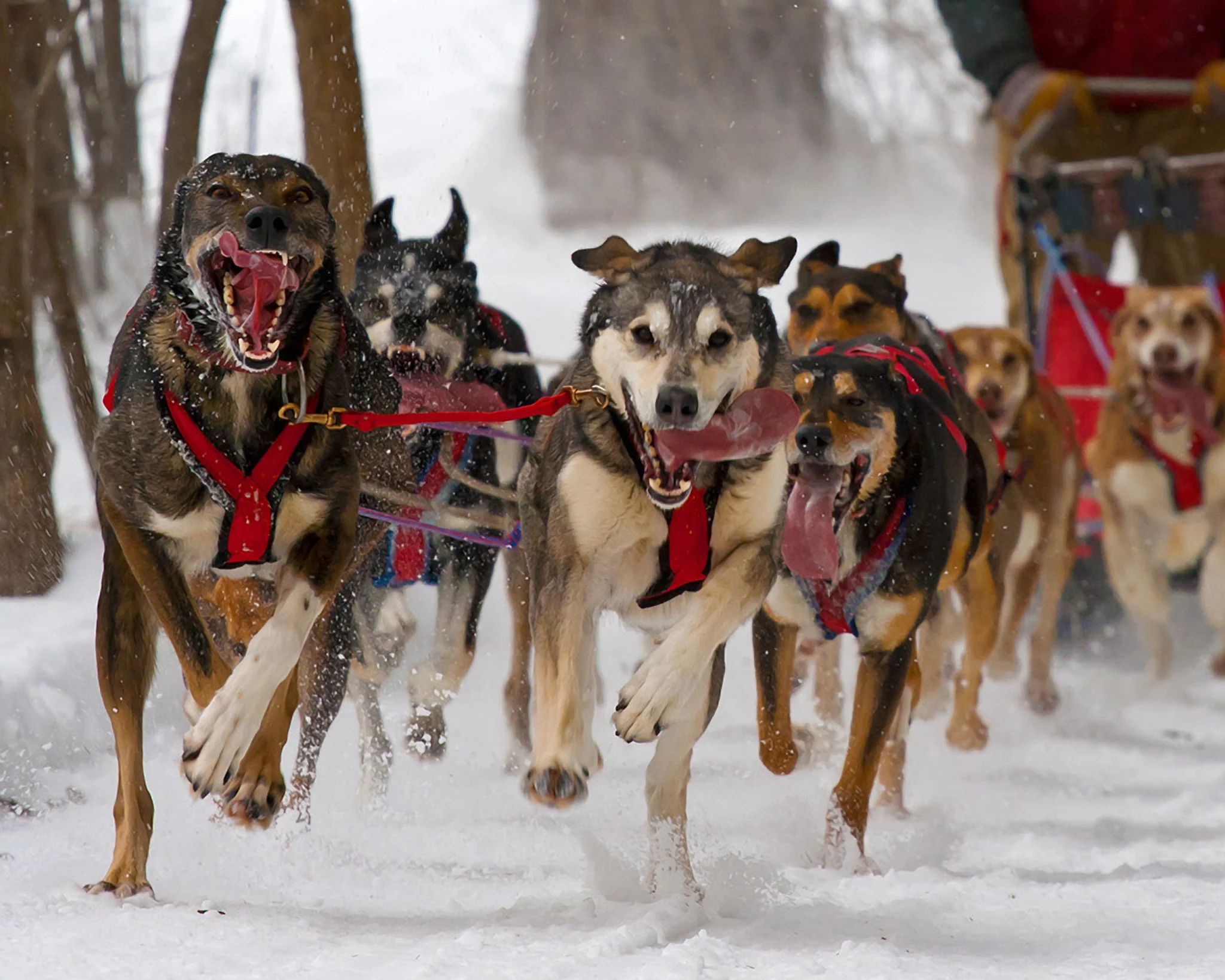 New Hampshire Hot Shots: Photography Fine Art Book and Calendar - Image 5