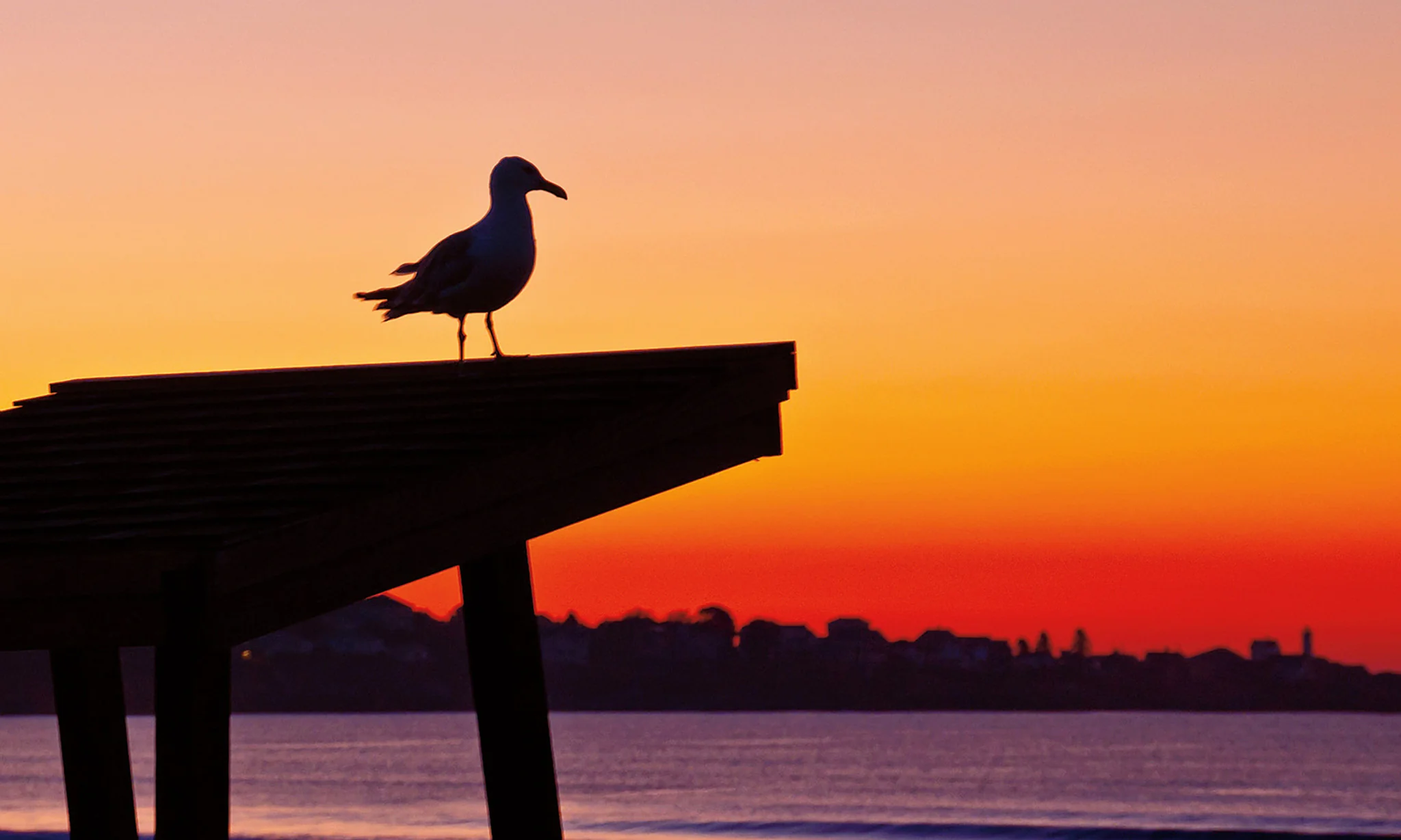 New Hampshire Hot Shots: Photography Fine Art Book and Calendar - Image 7
