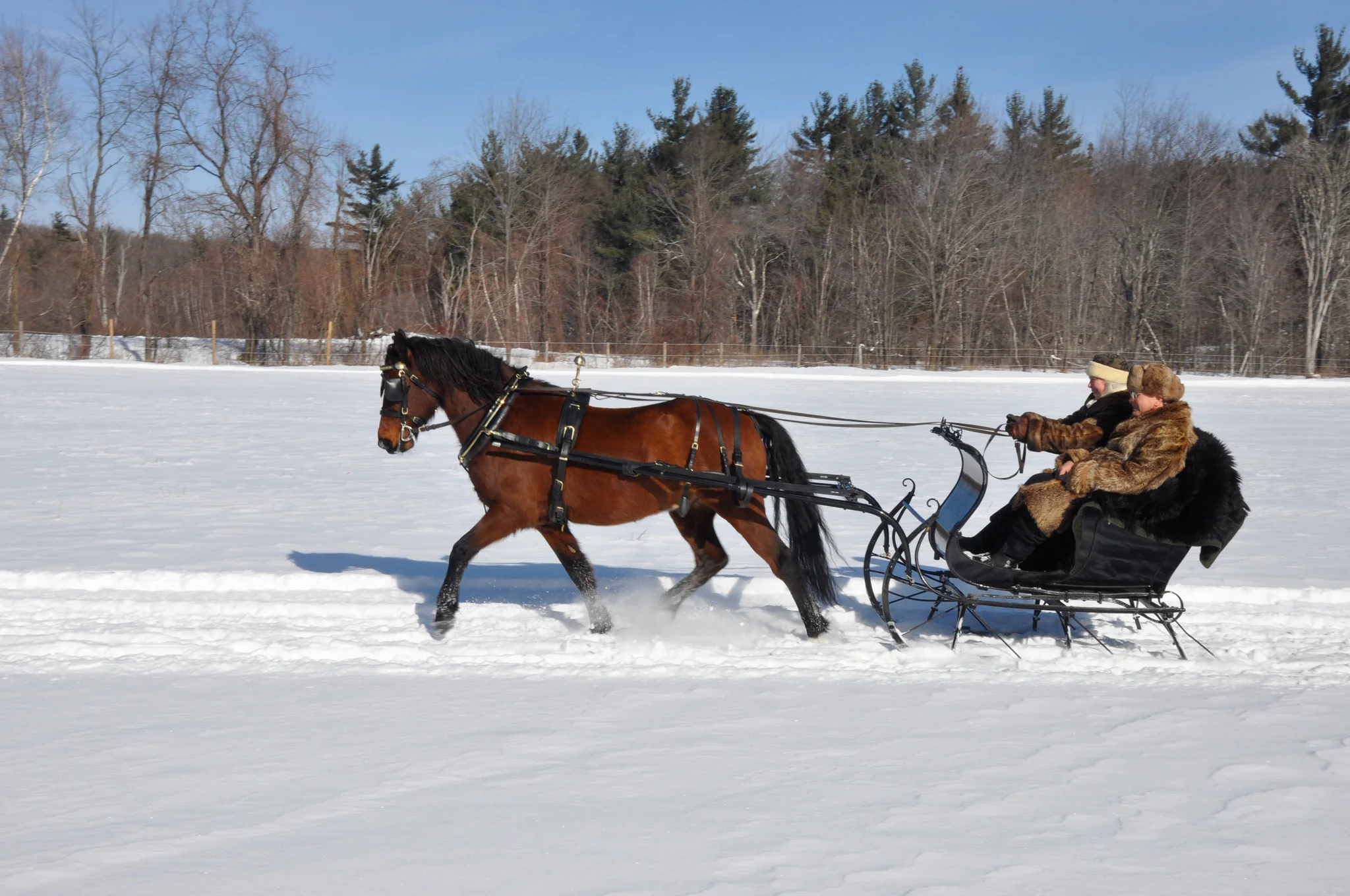 New Hampshire Hot Shots: Photography Fine Art Book and Calendar - Image 9