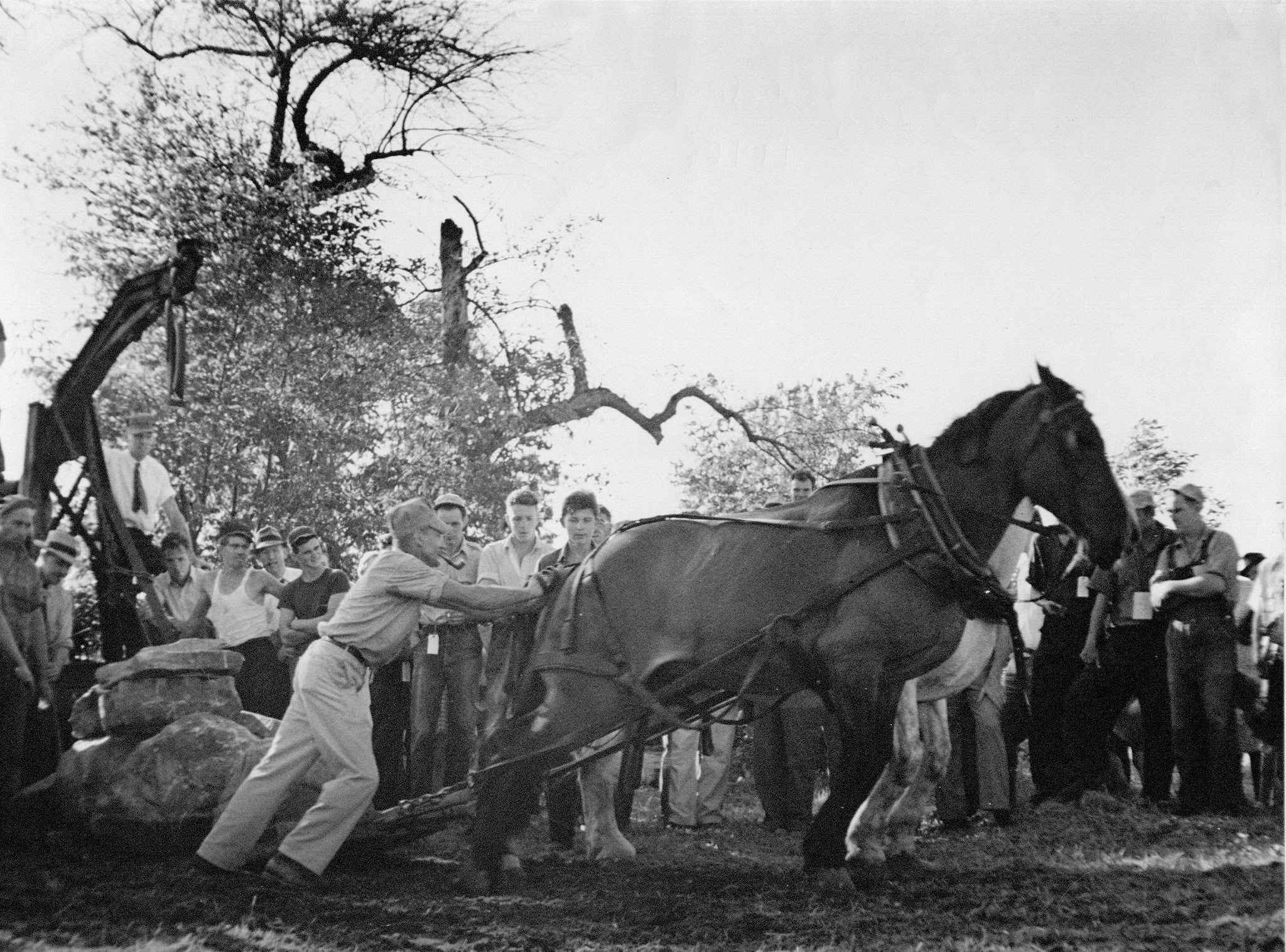Looking Back: New London County: Vol. II - The 1940s, '50s and '60s - Image 3