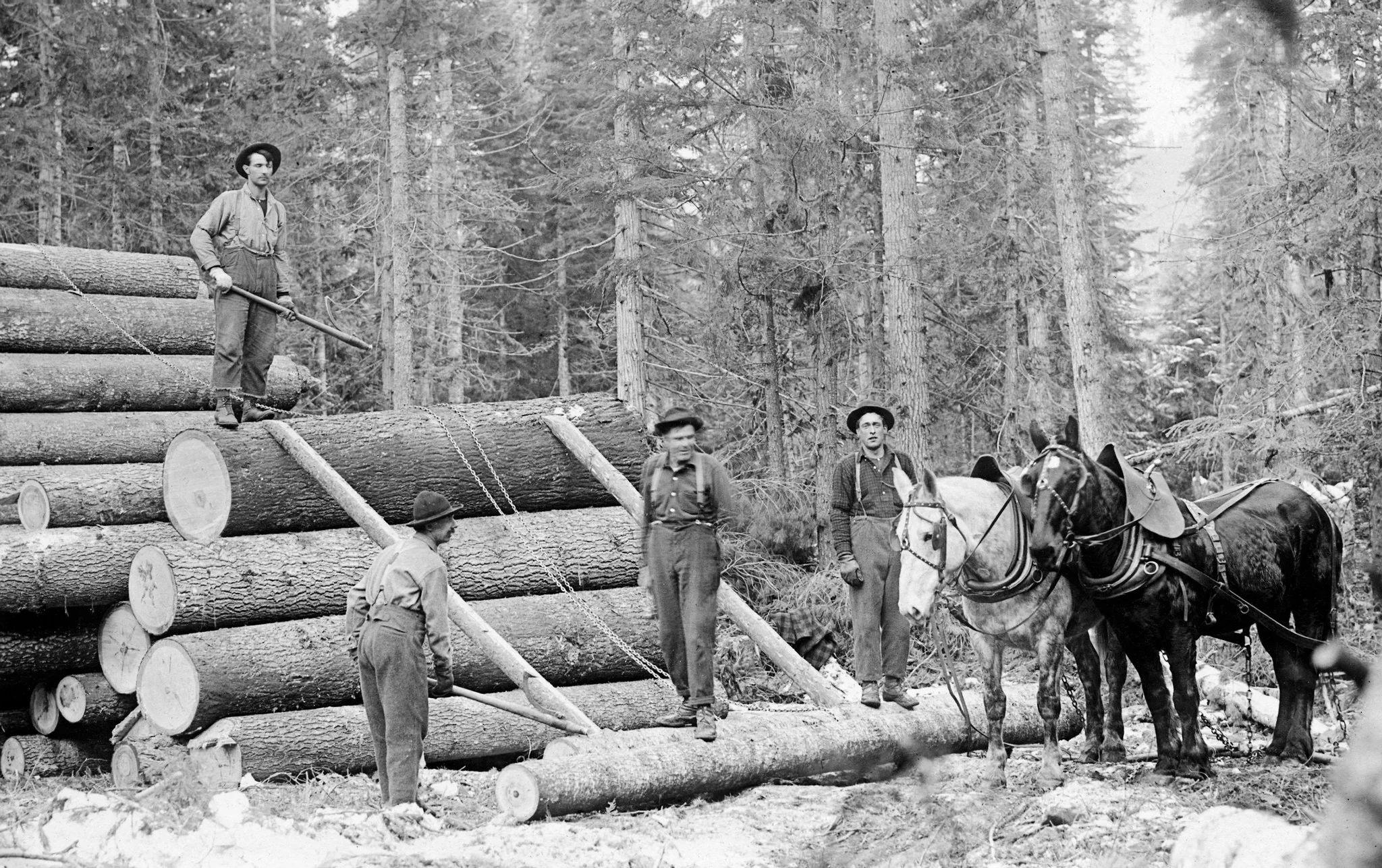 North Idaho Memories: The Early Years | 1800-1939 - Image 19