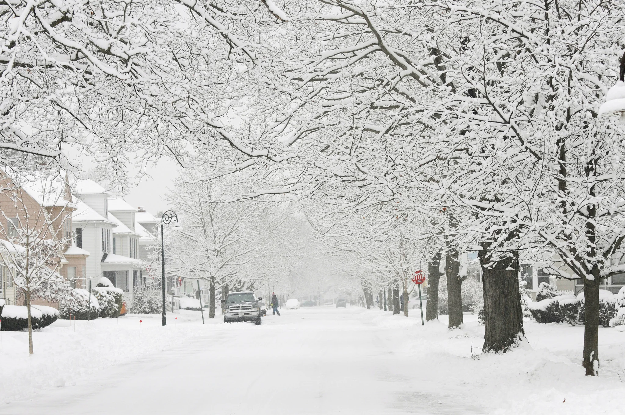 Buried By Blizzards: The Relentless Winter of 2015 - Image 3