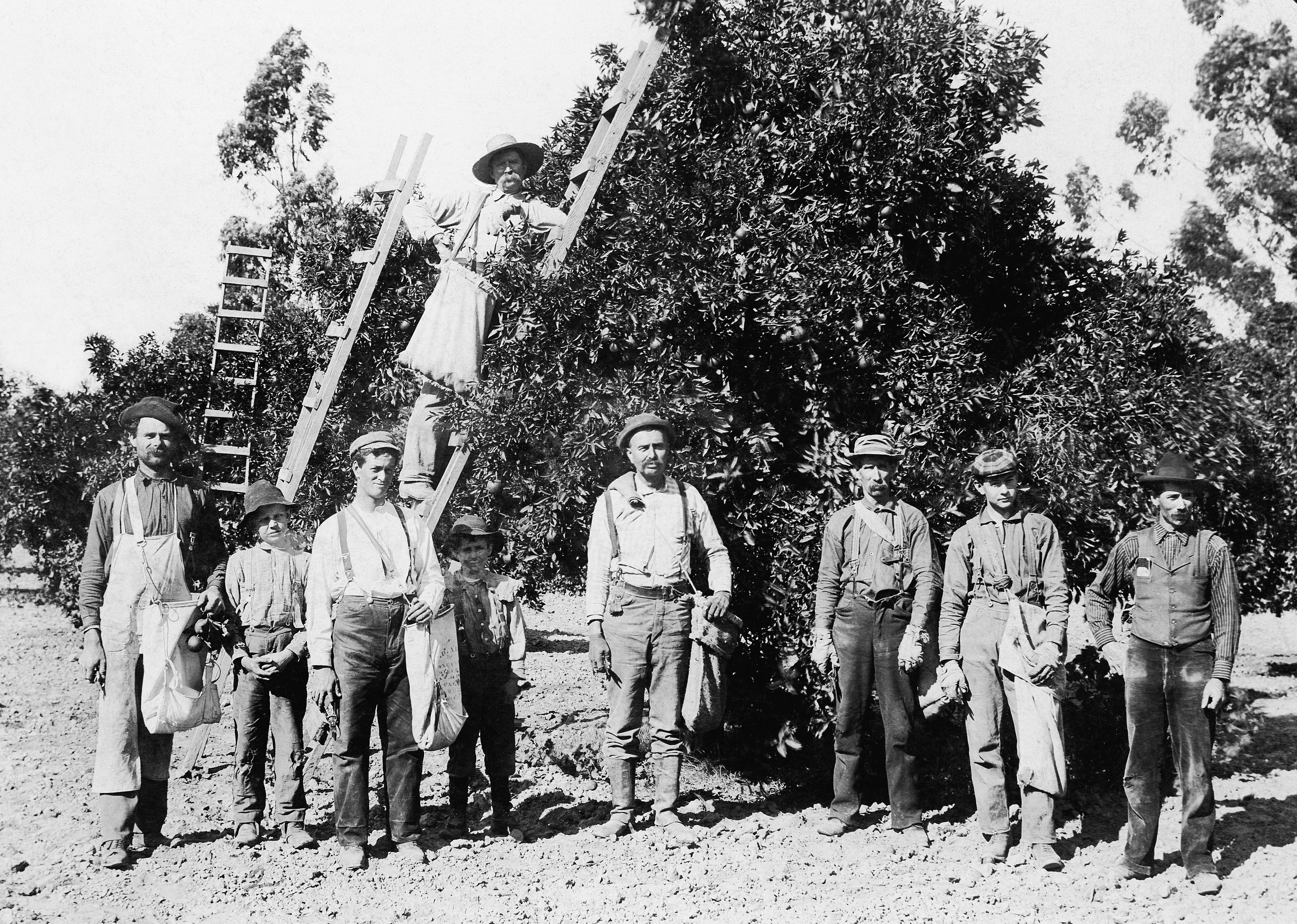 Orange County Memories: A Photographic History of the 1800s through the 1930s - Image 11