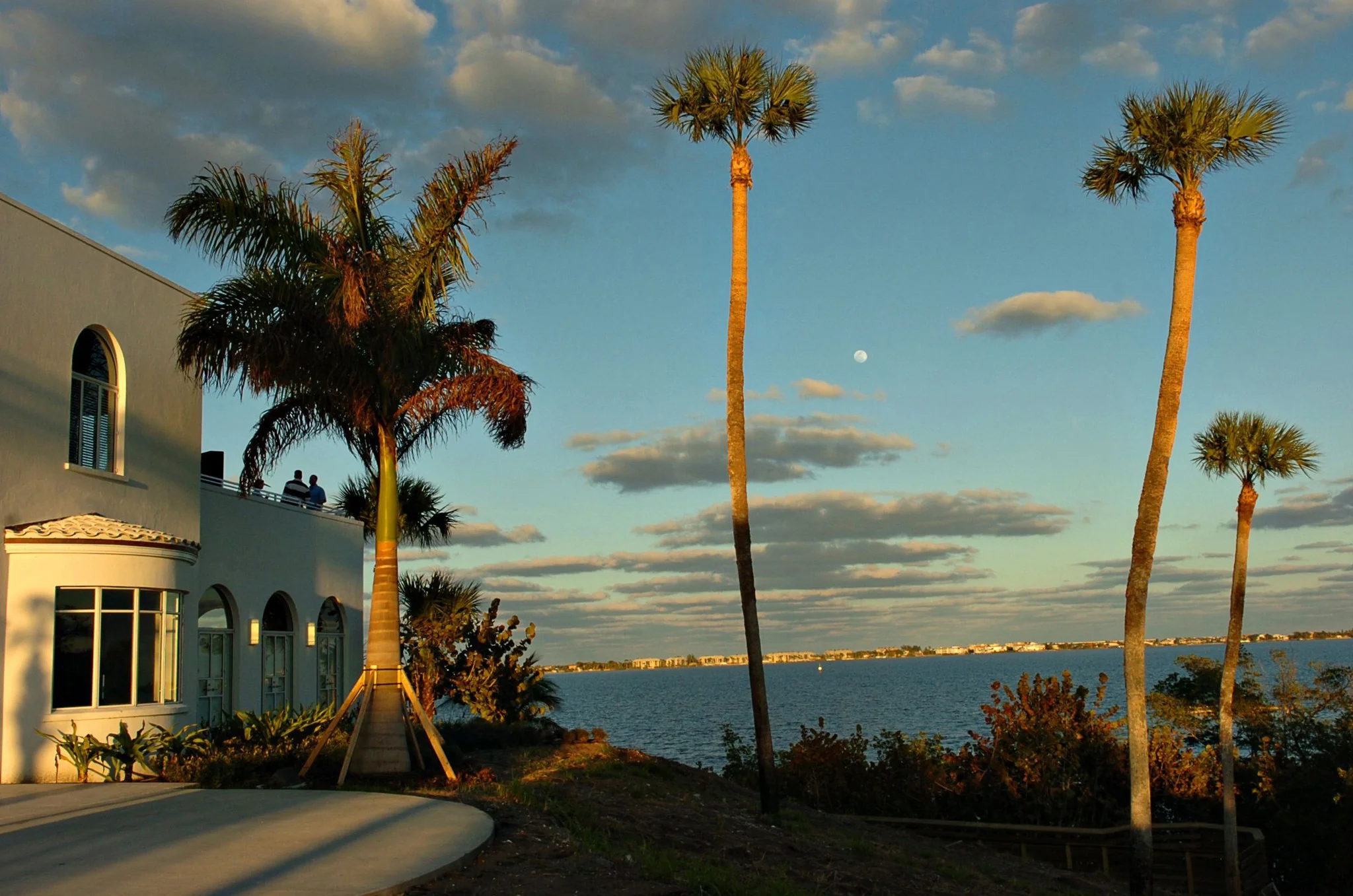 Our Indian River Lagoon - Image 12