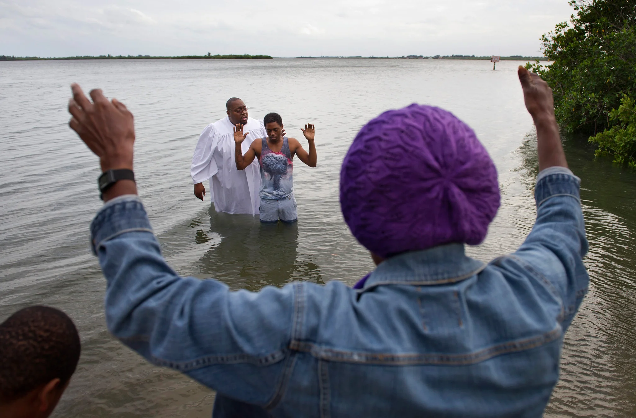 Our Indian River Lagoon - Image 8