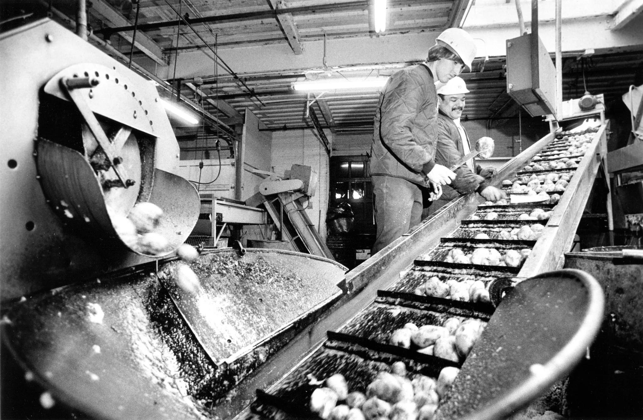 Our Stories: The Jews of Western Massachusetts - Image 5