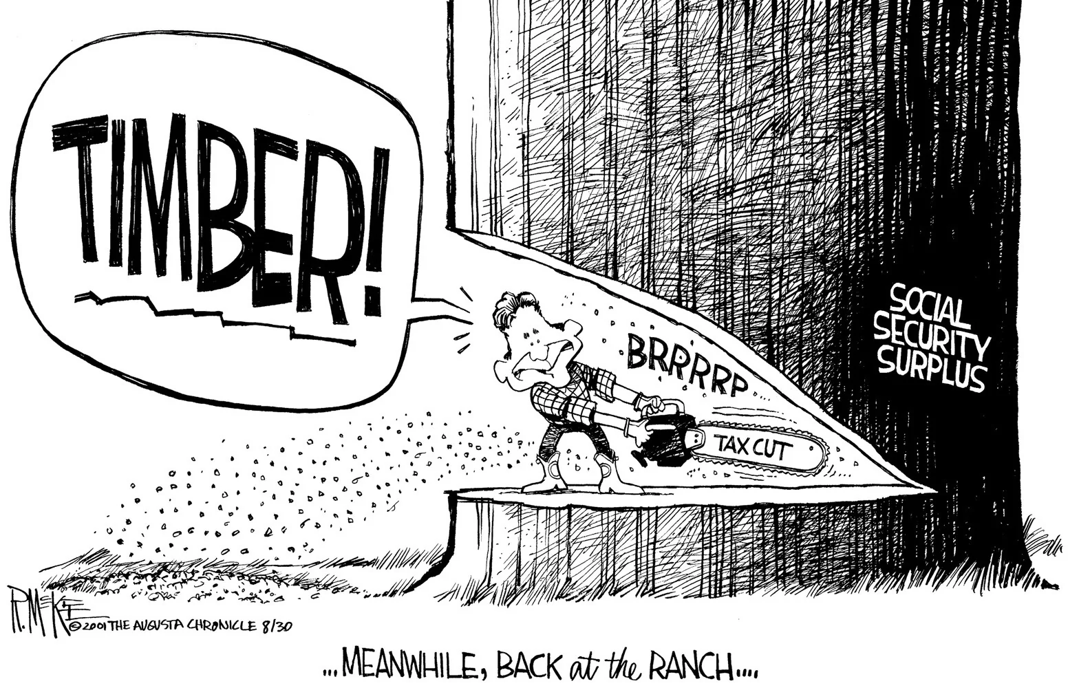 Painting with a Broad Brush: A collection of cartoons by Rick McKee - Image 8