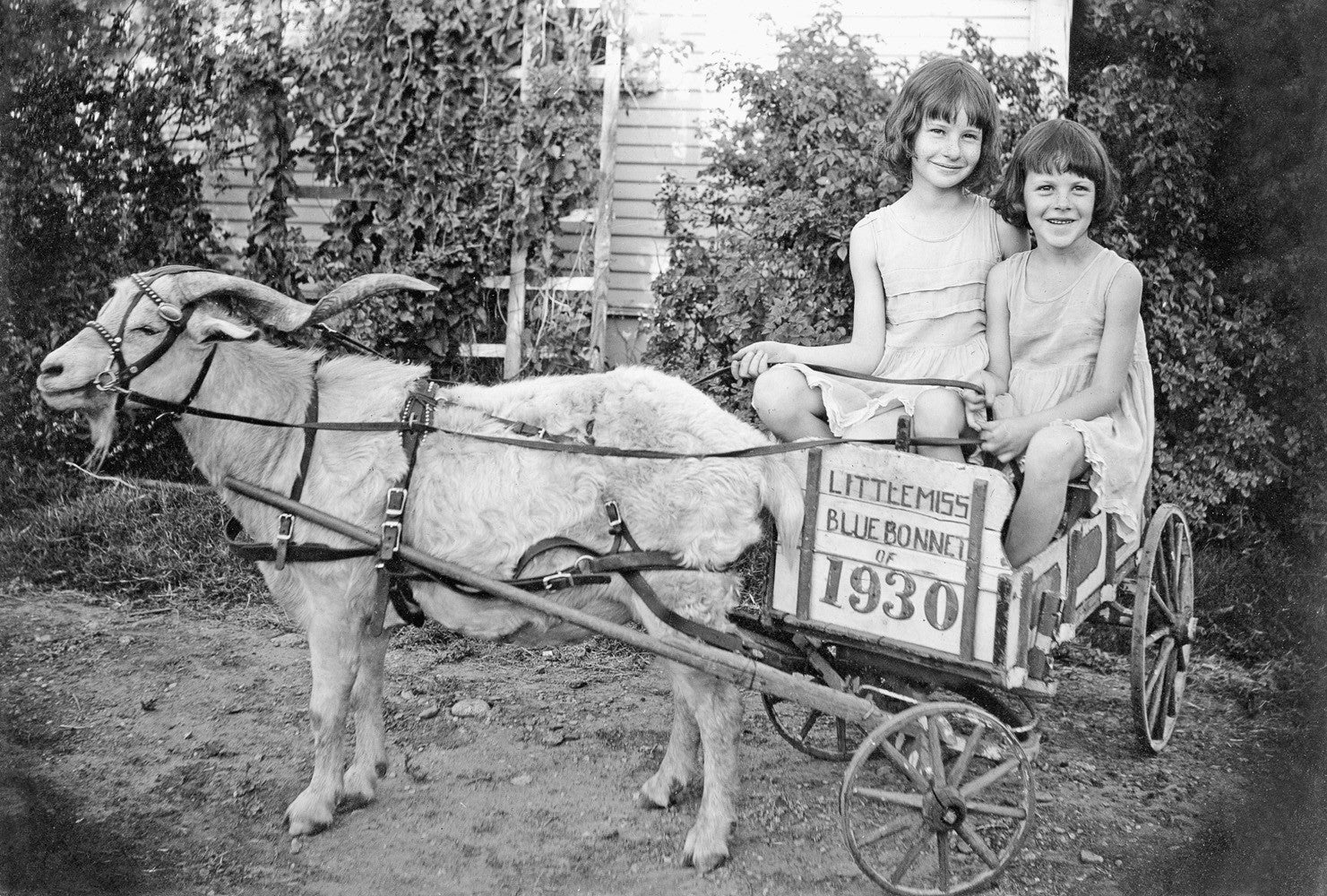 Panhandle Plains Memories: The Early Years 1800s - 1939 - Image 4