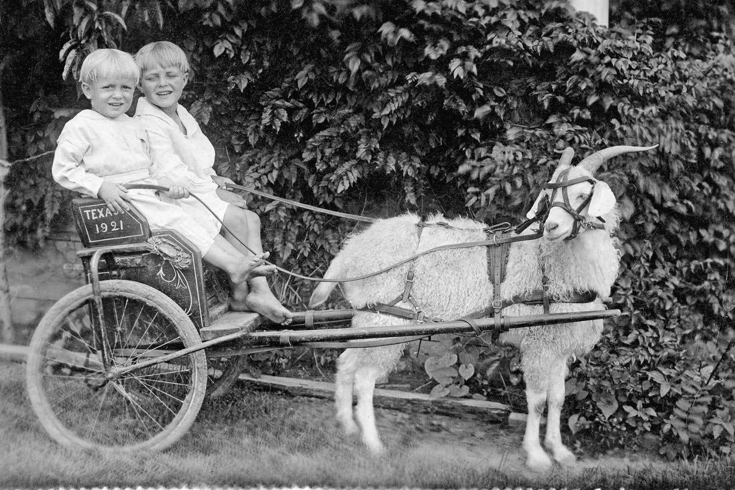 Panhandle Plains Memories: The Early Years 1800s - 1939 - Image 8