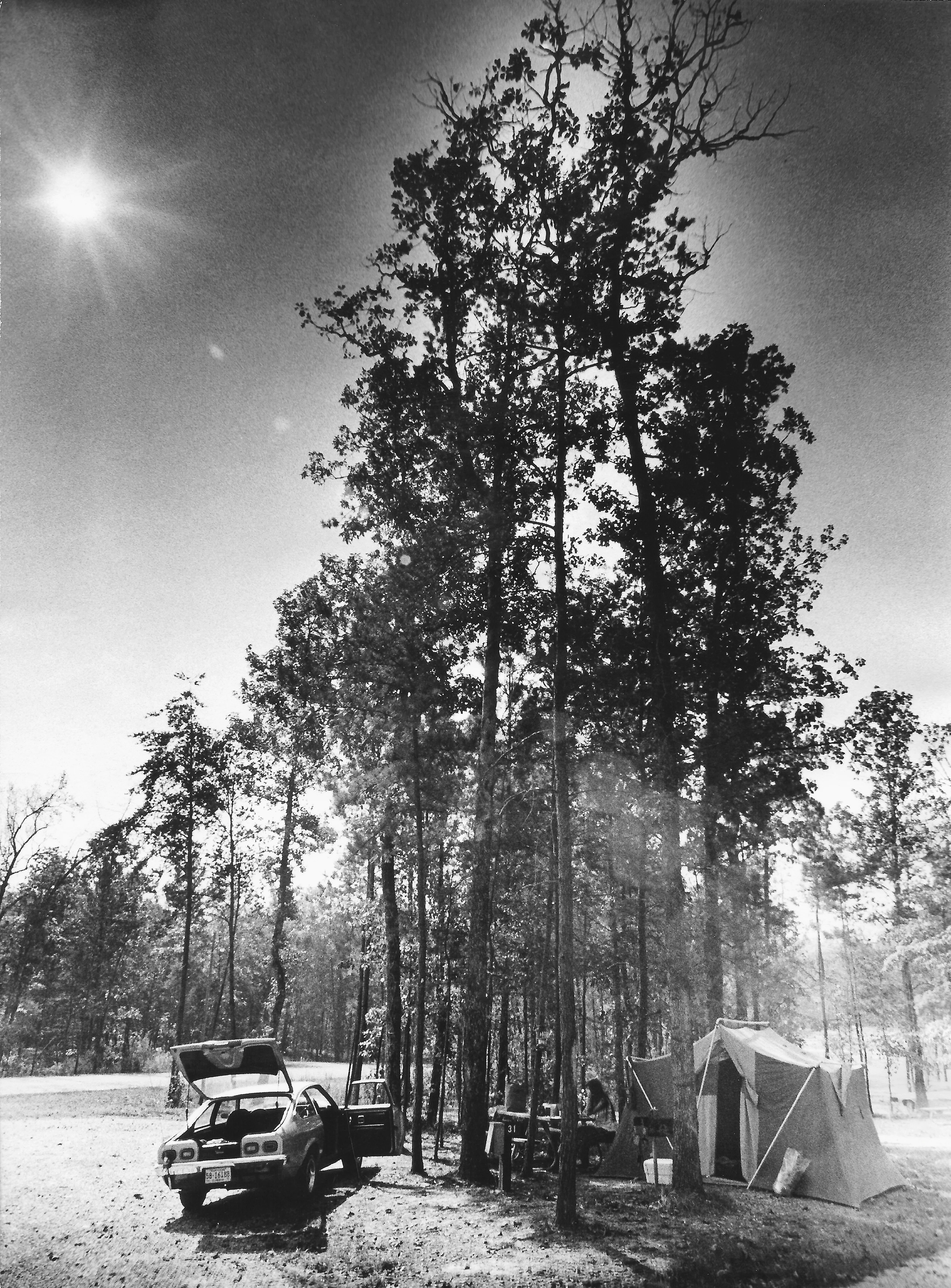 Pelham Memories ~ A Pictorial History: Presented by Bobby Joe and Diane Seales - Image 8
