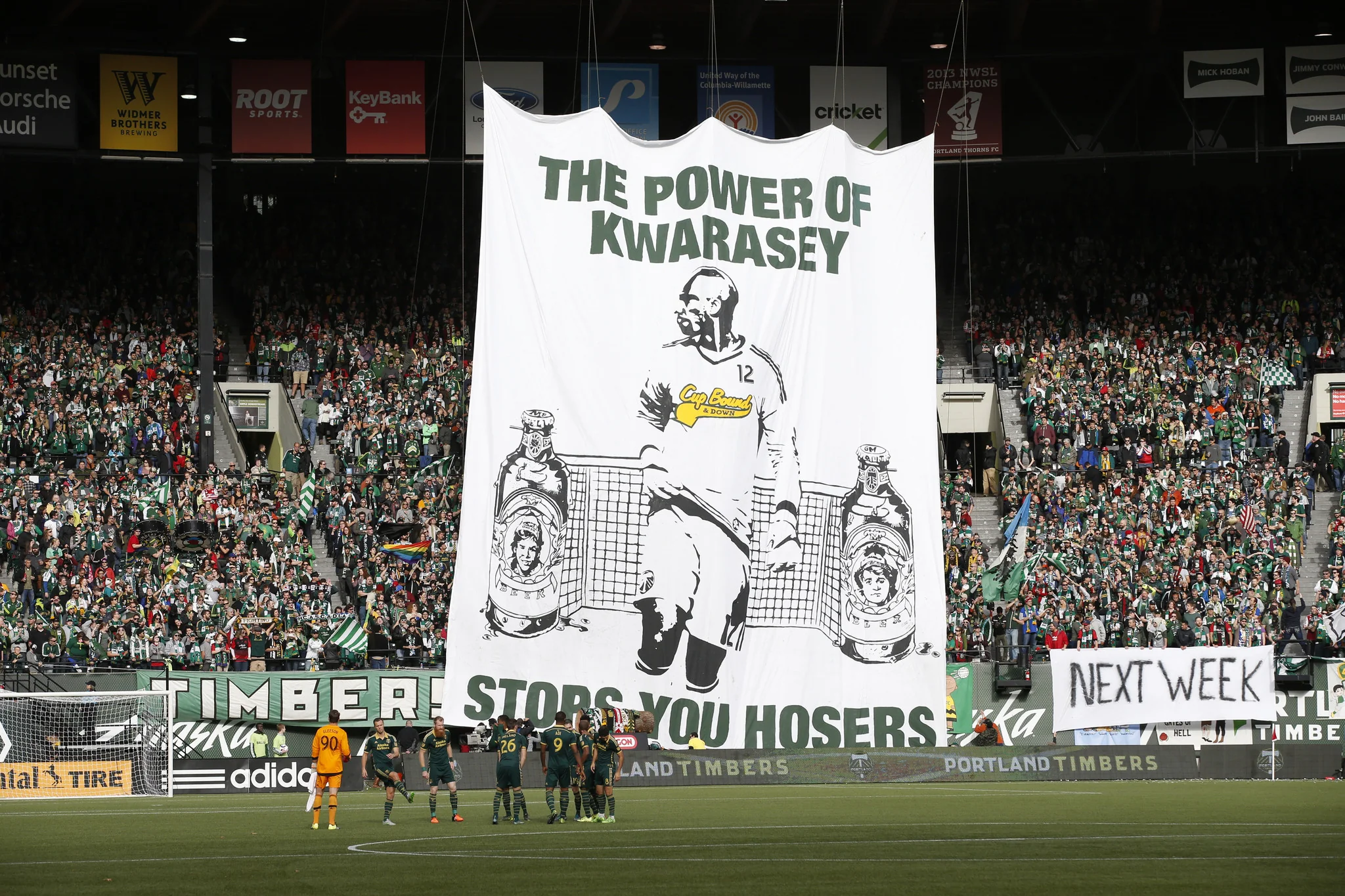 Green & Golden: Portland Timbers’ Historic March to the MLS Cup - Image 8
