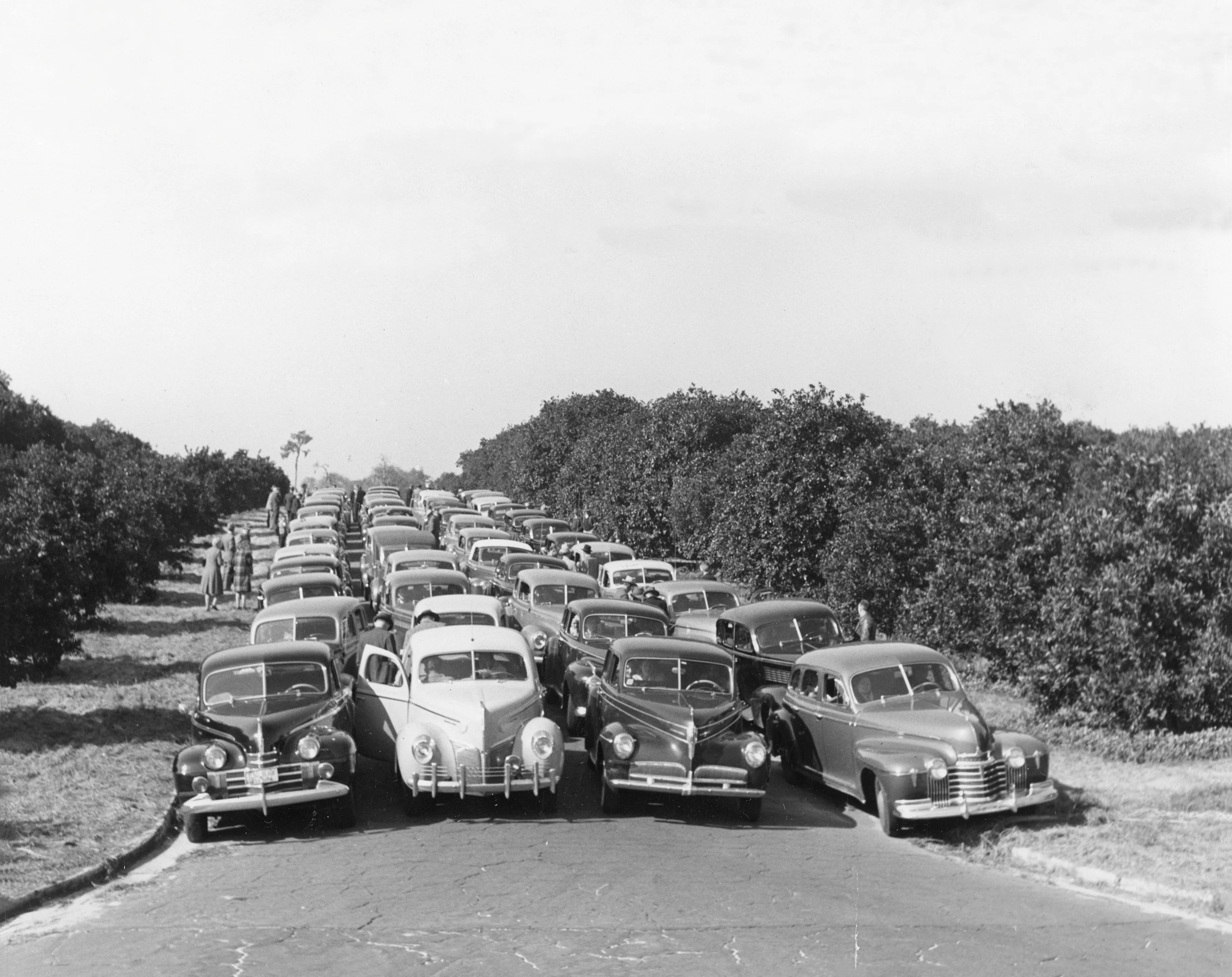 Press Journal: 100 Years of Covering Indian River County - Image 10