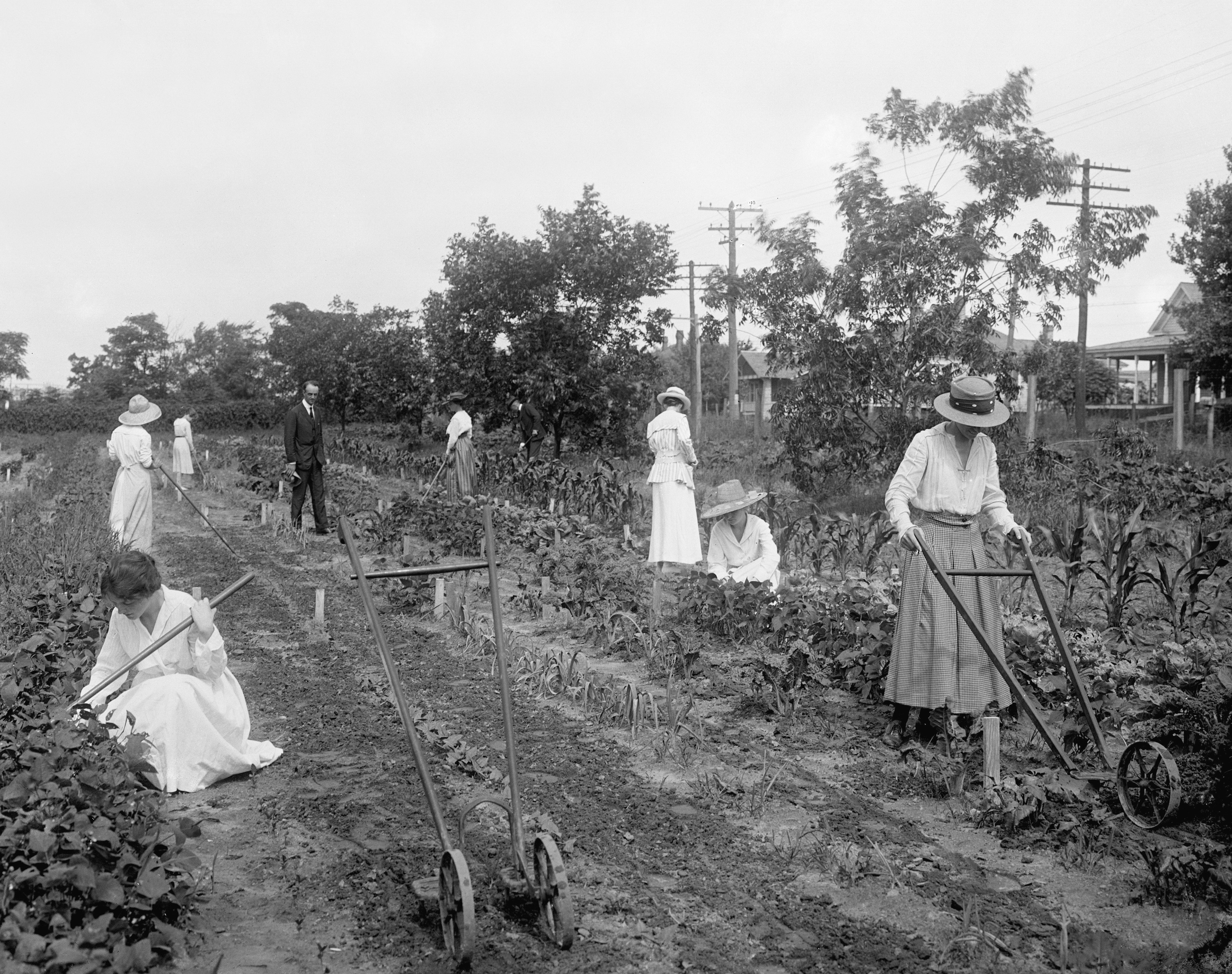 Raleigh Memories: The Early Years - Image 13