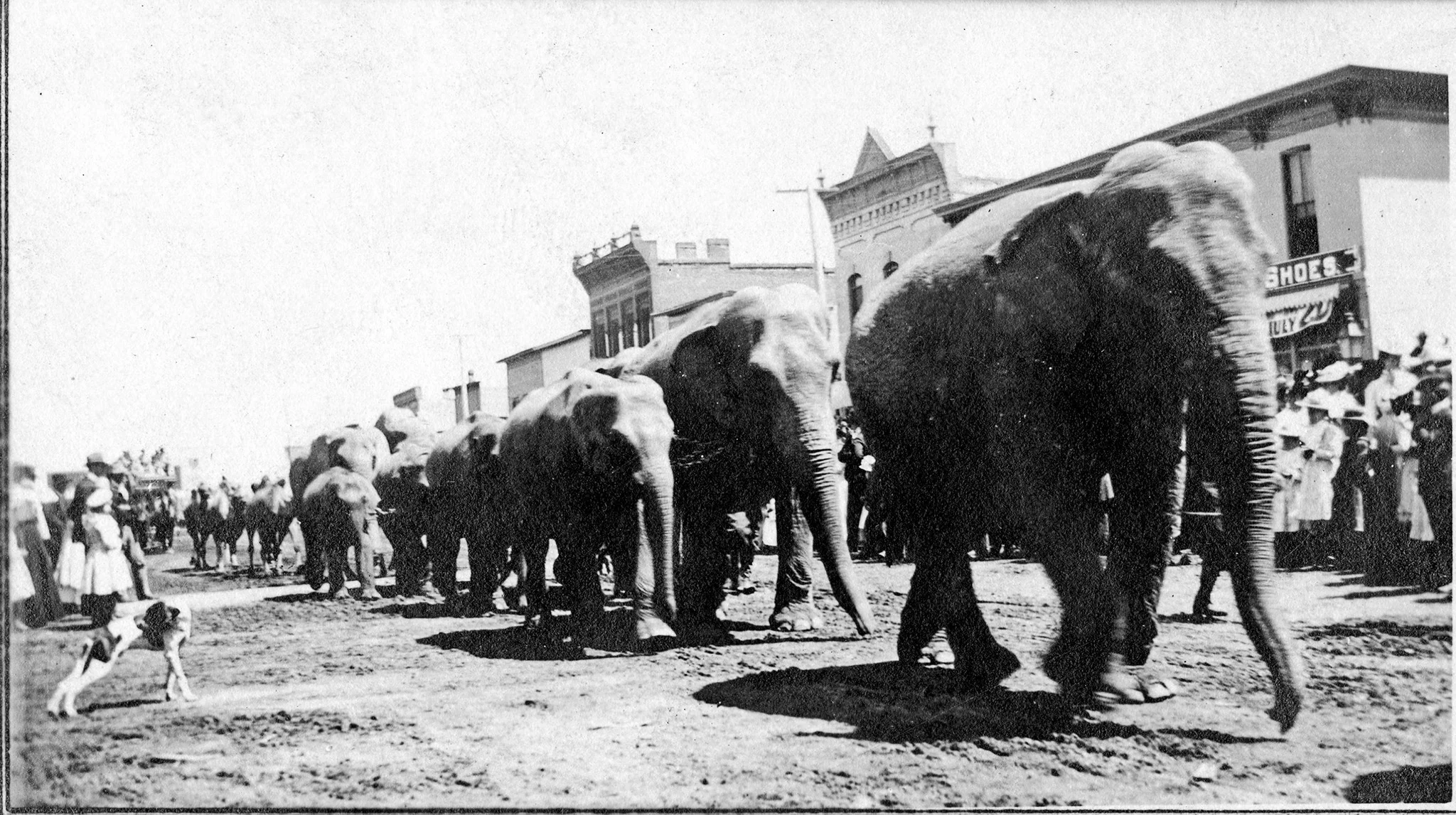 Redwood County: The Early Years - Image 7