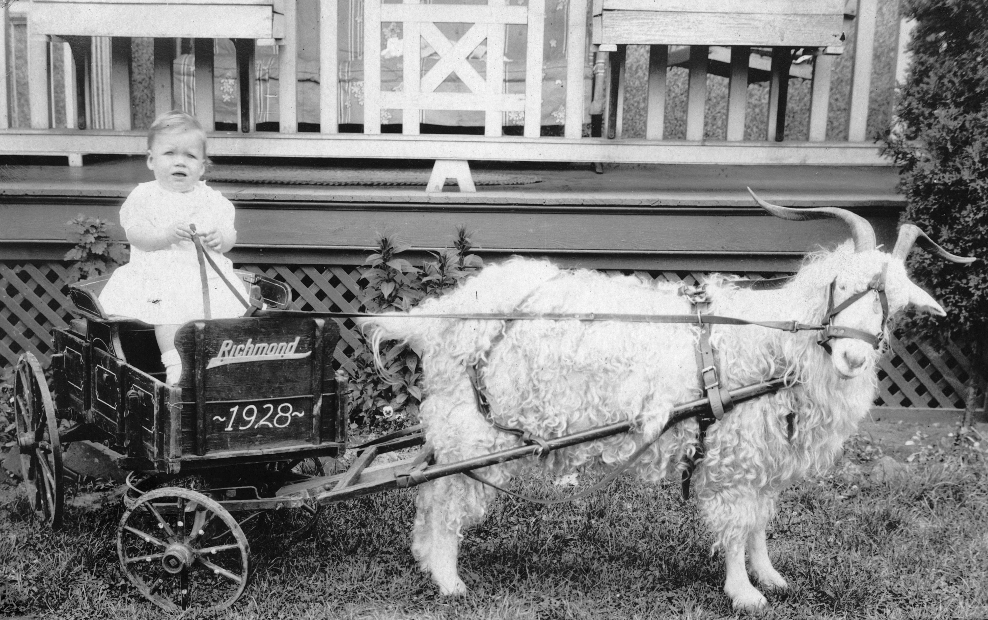 Richmond Memories: The Early Years - Image 5
