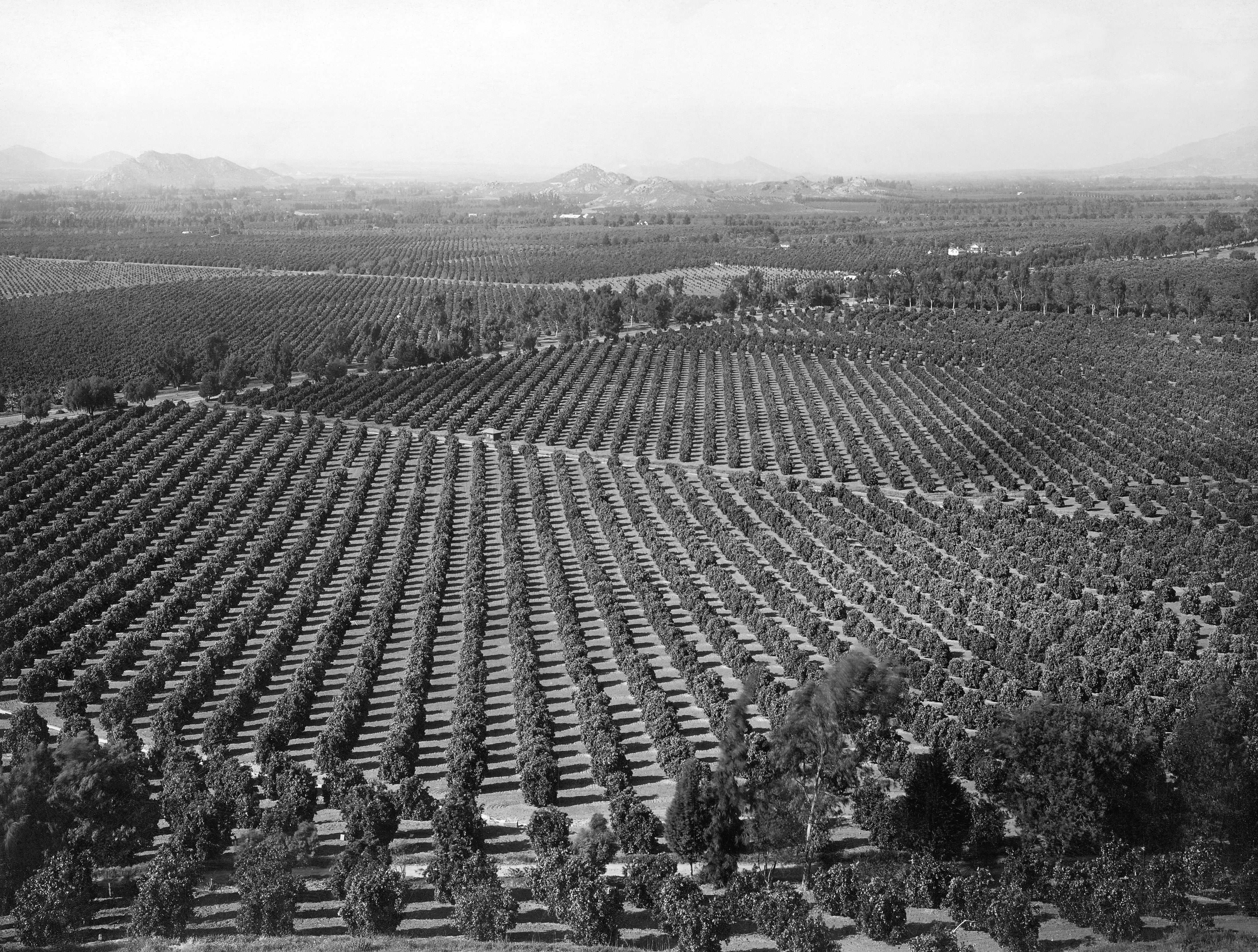 Riverside Memories: A Pictorial History of the Early Years through the 1930s - Image 19