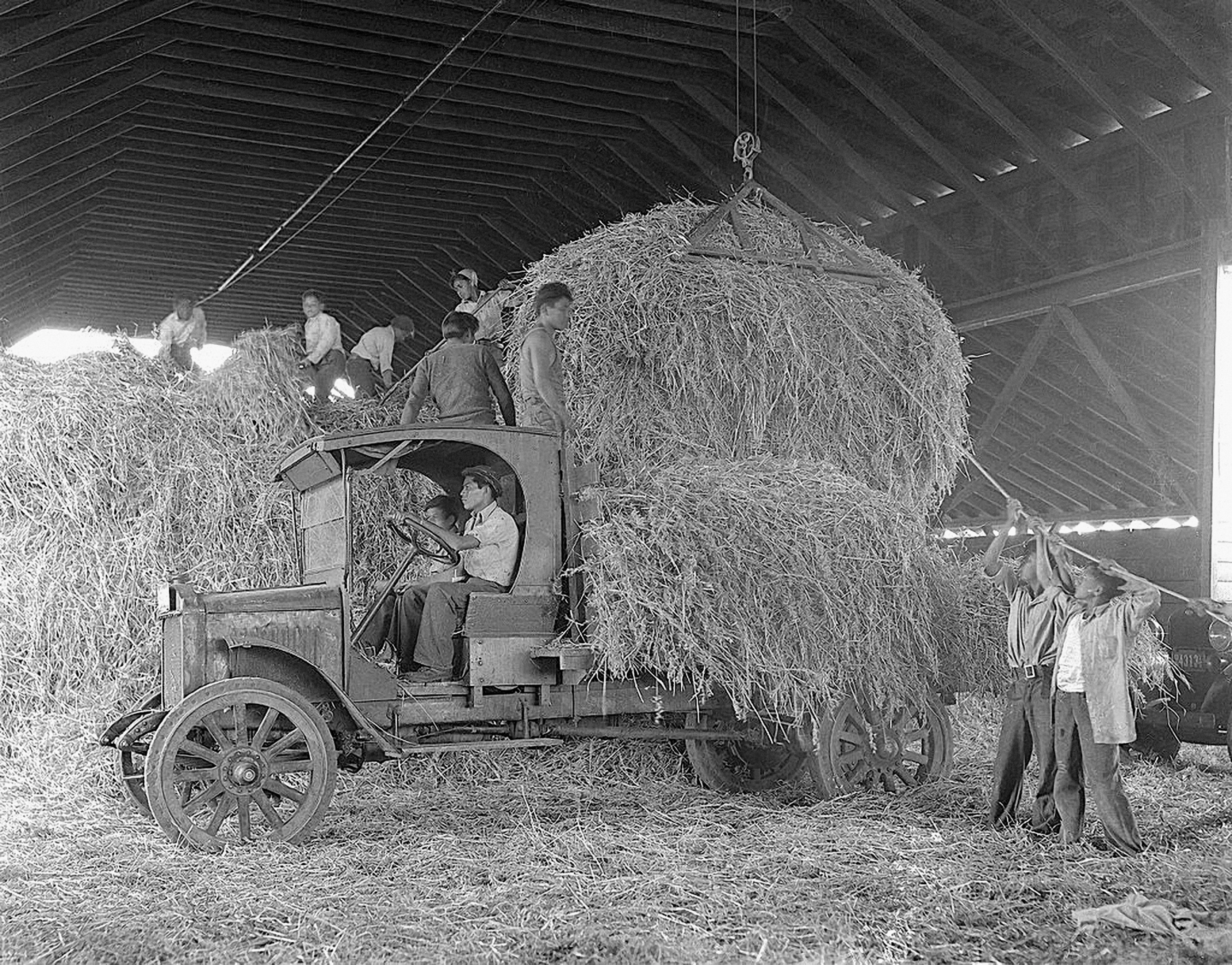 Riverside Memories: A Pictorial History of the Early Years through the 1930s - Image 4