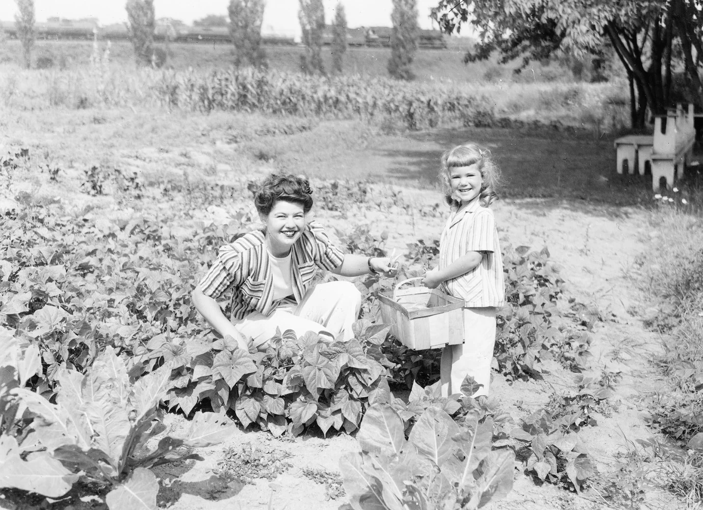 Rochester Memories Volume IV: Greater Rochester in the 20th Century: A Community Photo Album - Image 5
