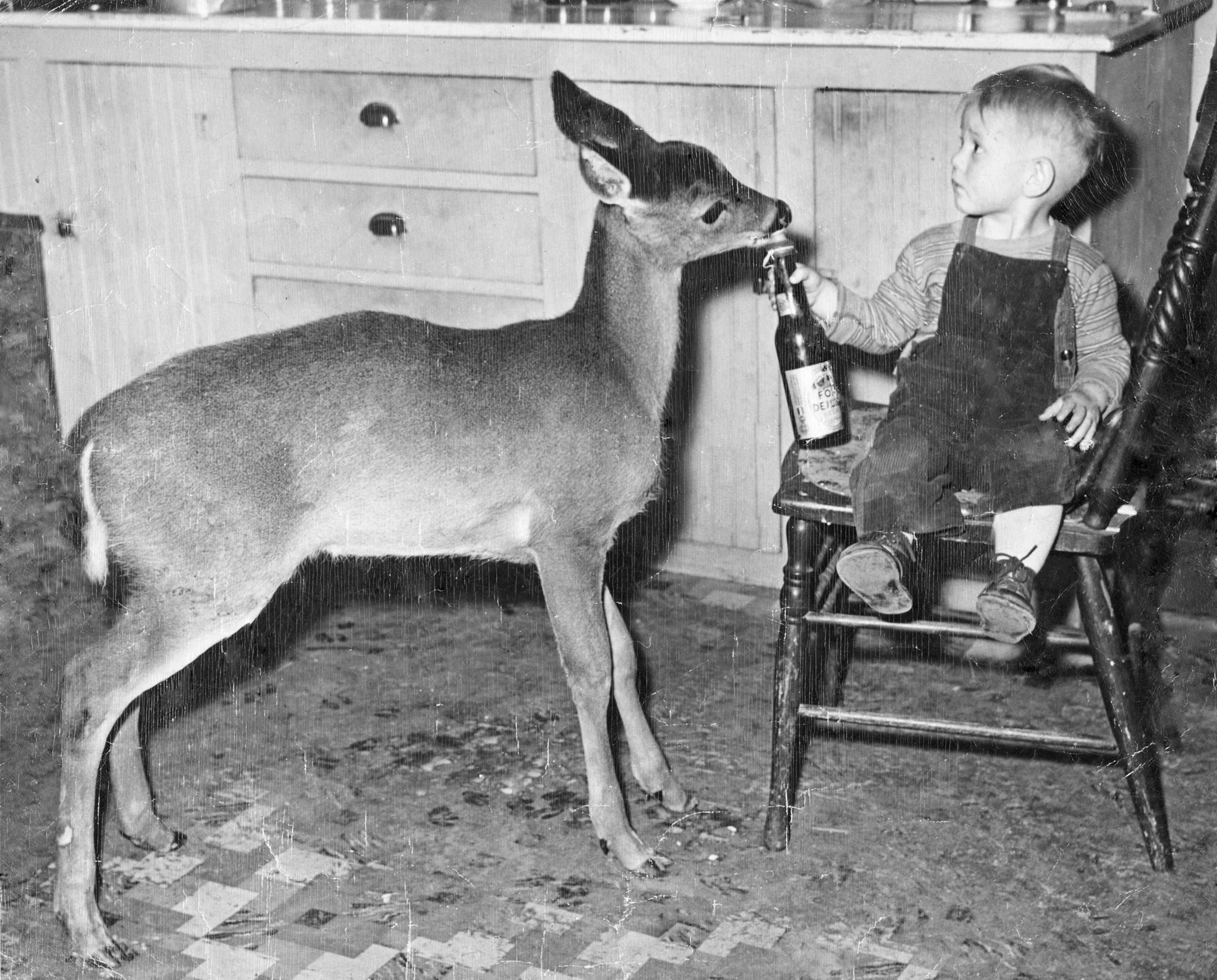 Rockford Memories: Volume II – The '40s, '50s & '60s - Image 7