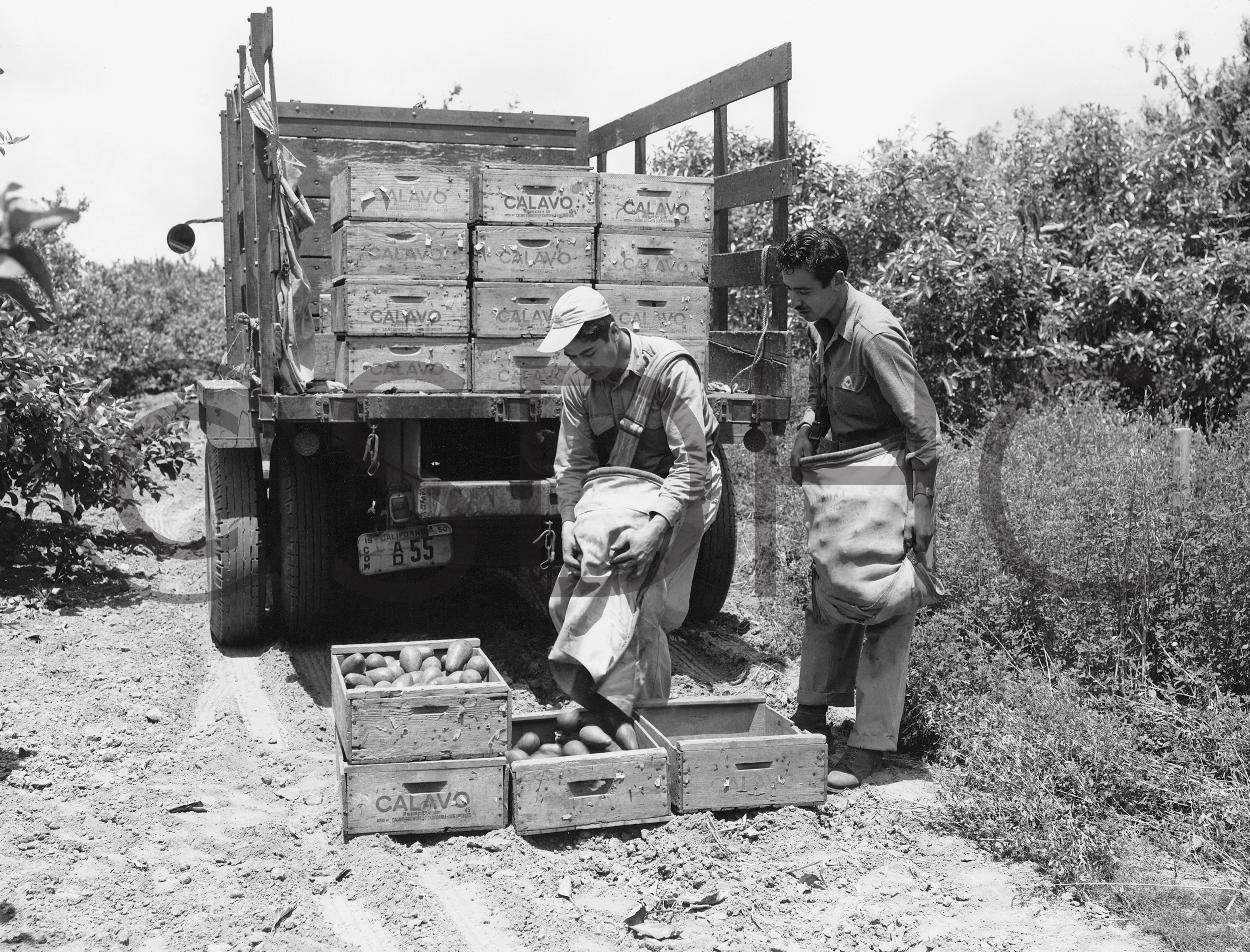 San Diego Memories II: War and Peace — The 1940s and 1950s - Image 11