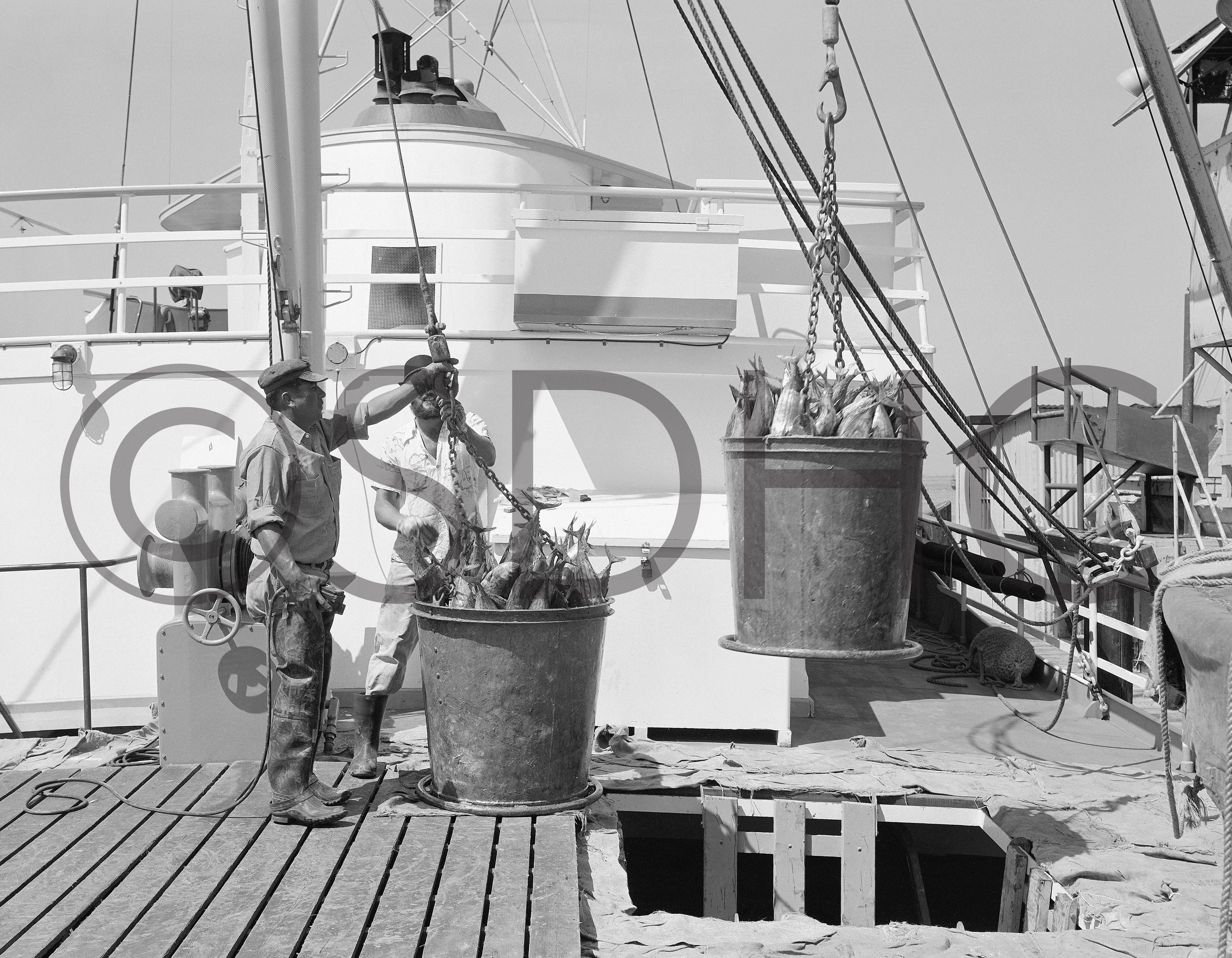 San Diego Memories II: War and Peace — The 1940s and 1950s - Image 21