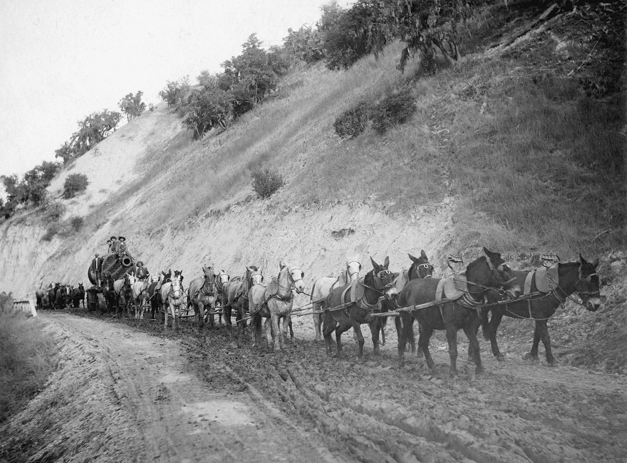 San Luis Obispo County: The Early Years - Image 11