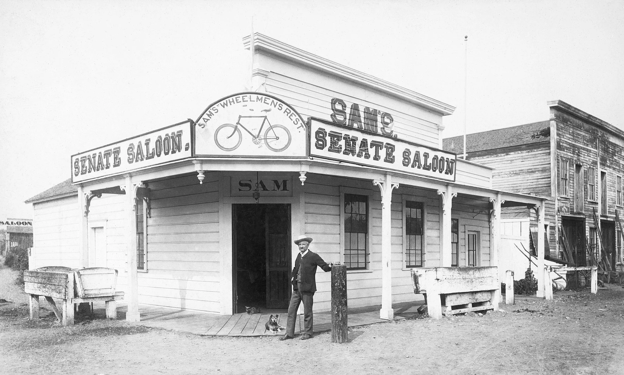 Santa Cruz Memories: The Early Years - Image 14