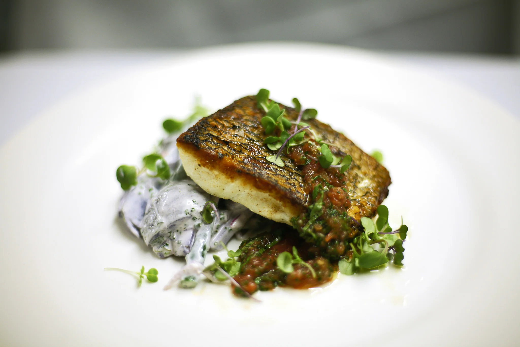 Savor the Shore: The cookbook that captures the flavor of Southern New Jersey - Image 11