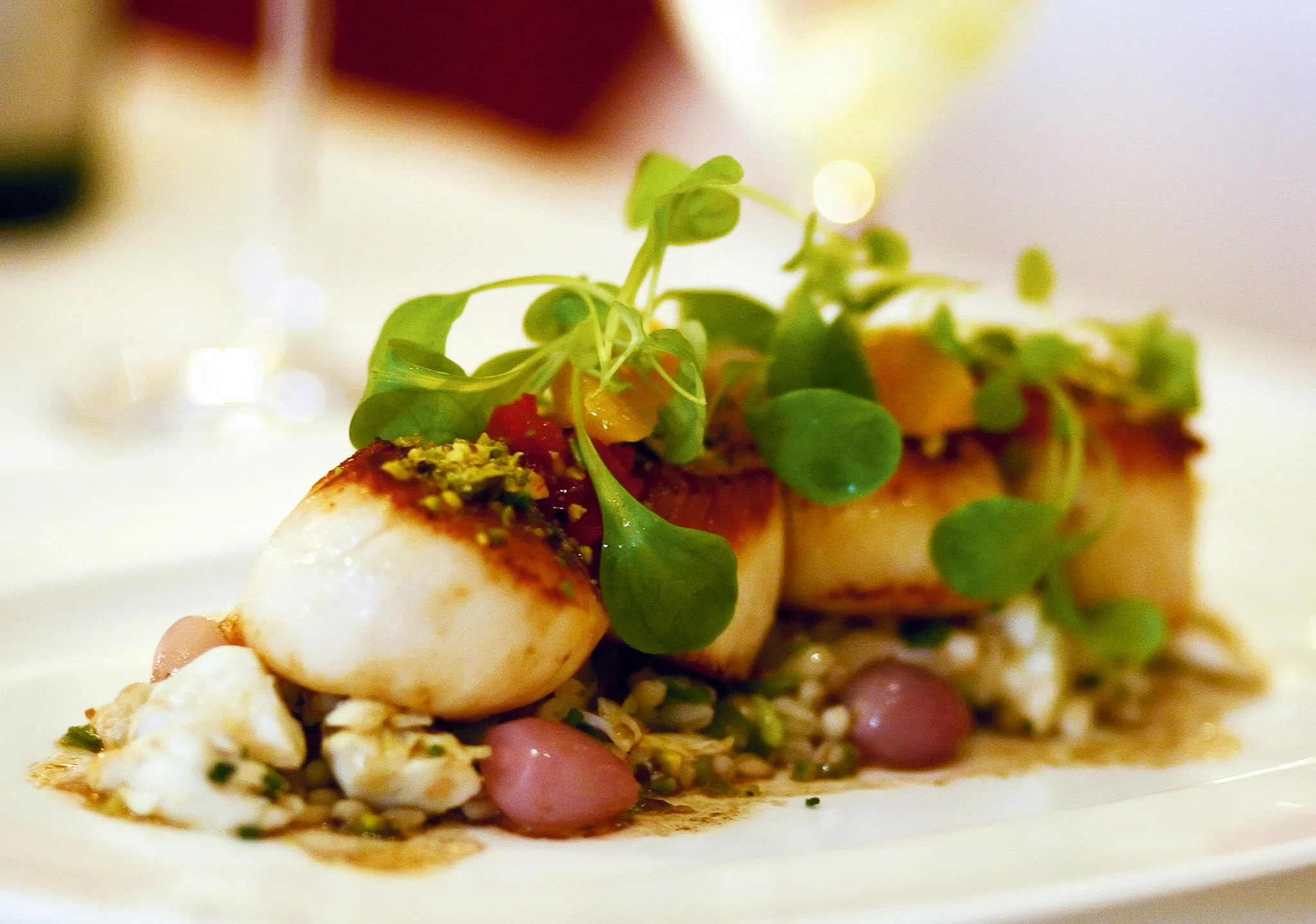 Savor the Shore: The cookbook that captures the flavor of Southern New Jersey - Image 2