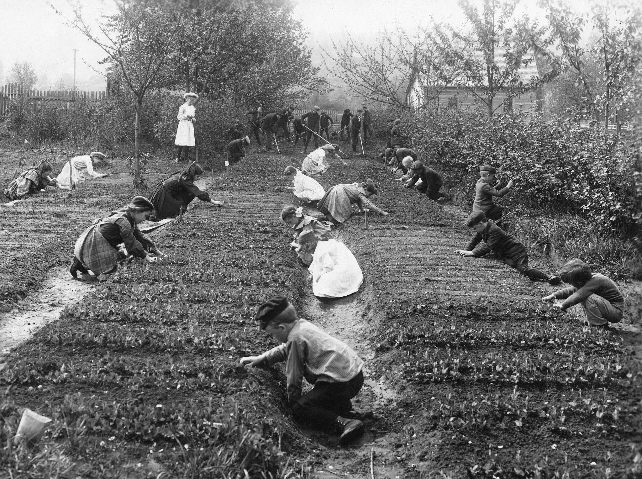 Seattle Memories: The Early Years | A Pictorial History - Image 13