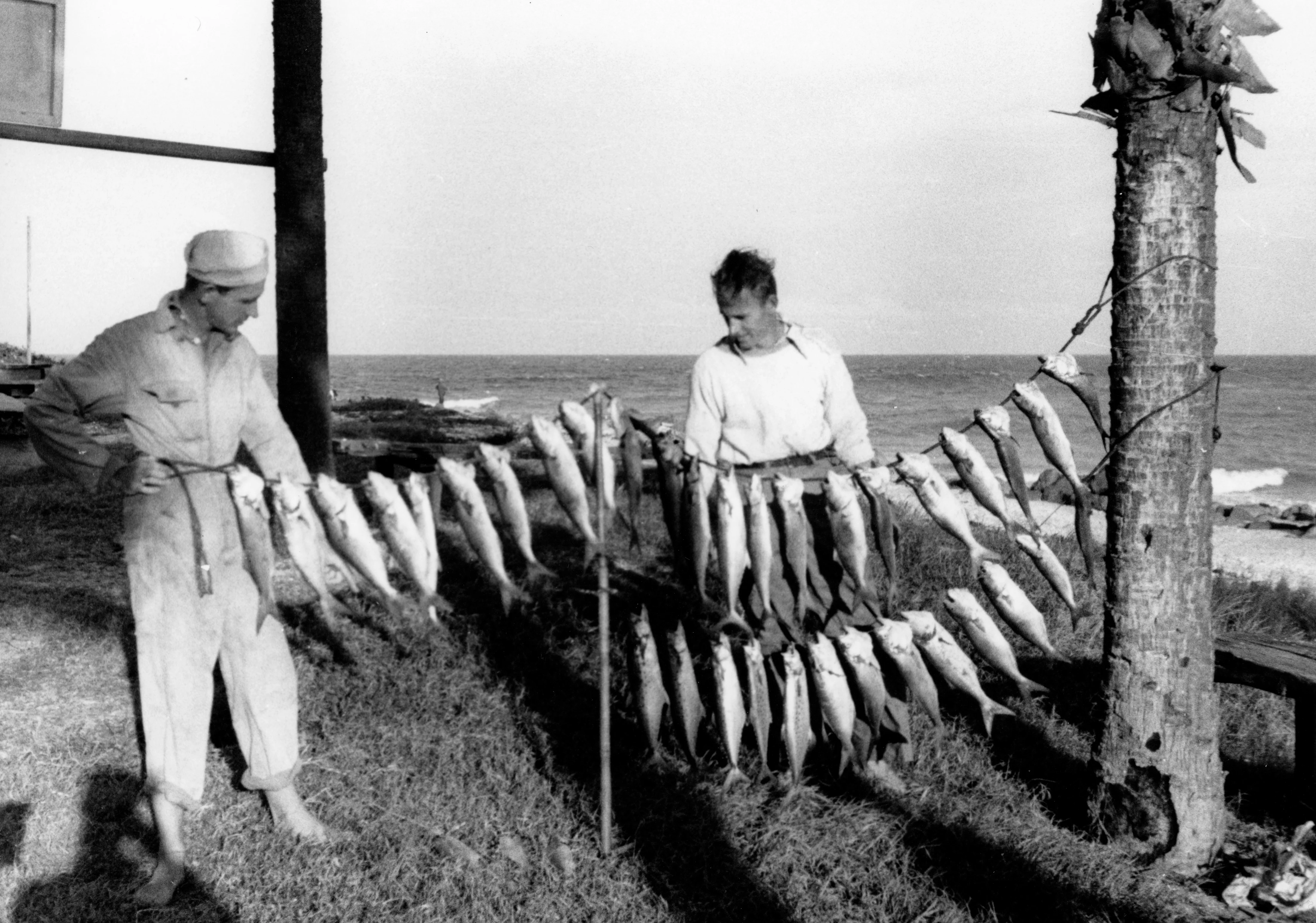 100 Years at Sebastian Inlet: A History of the Sebastian Inlet District - Image 9