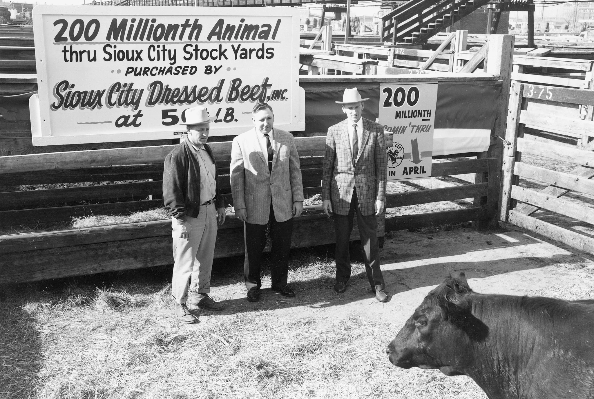 Volume II: Sioux City Memories: The 1940s, 1950s, and 1960s - Image 4
