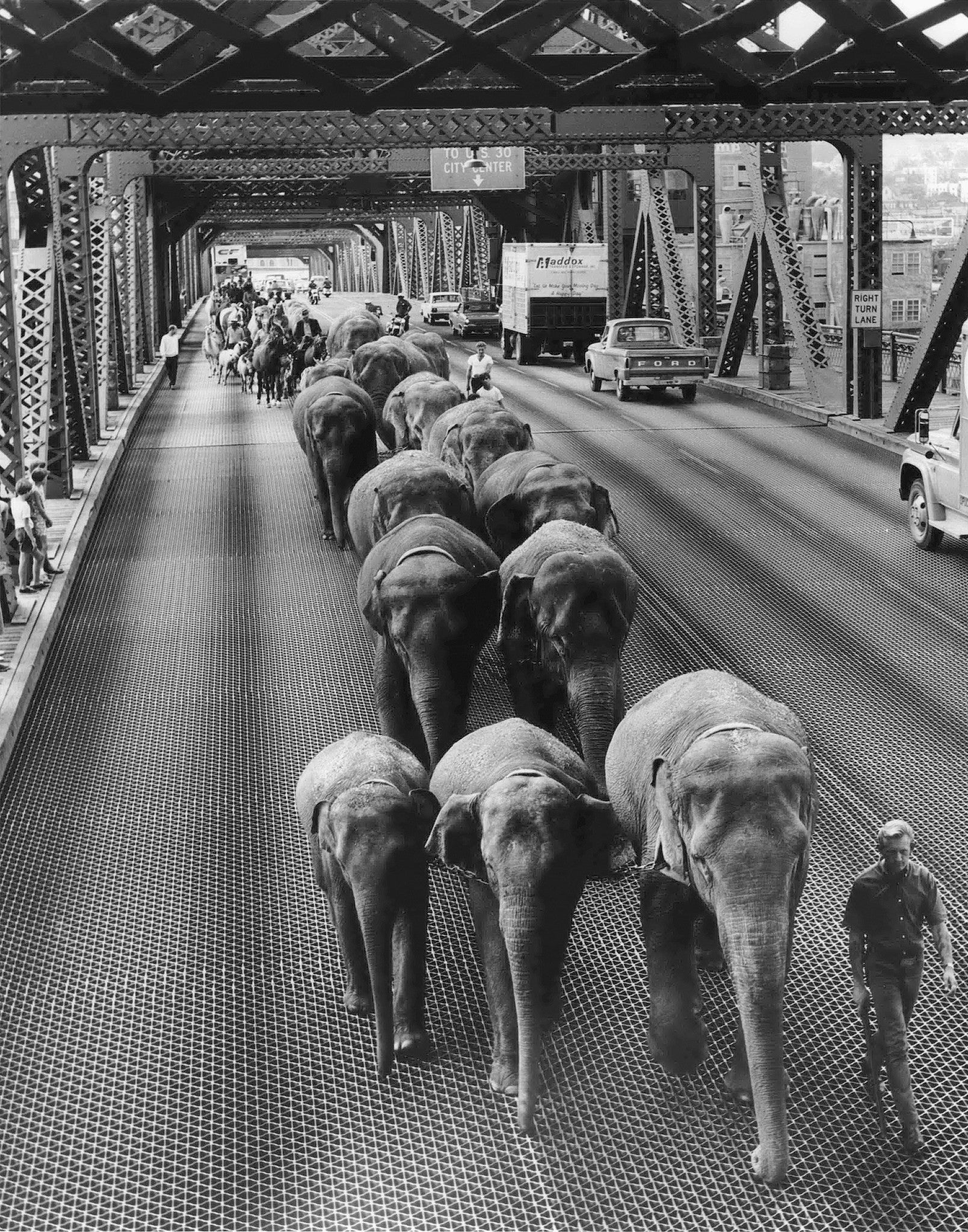 Spanning Oregon: Exploring Our Treasured Bridges - Image 5