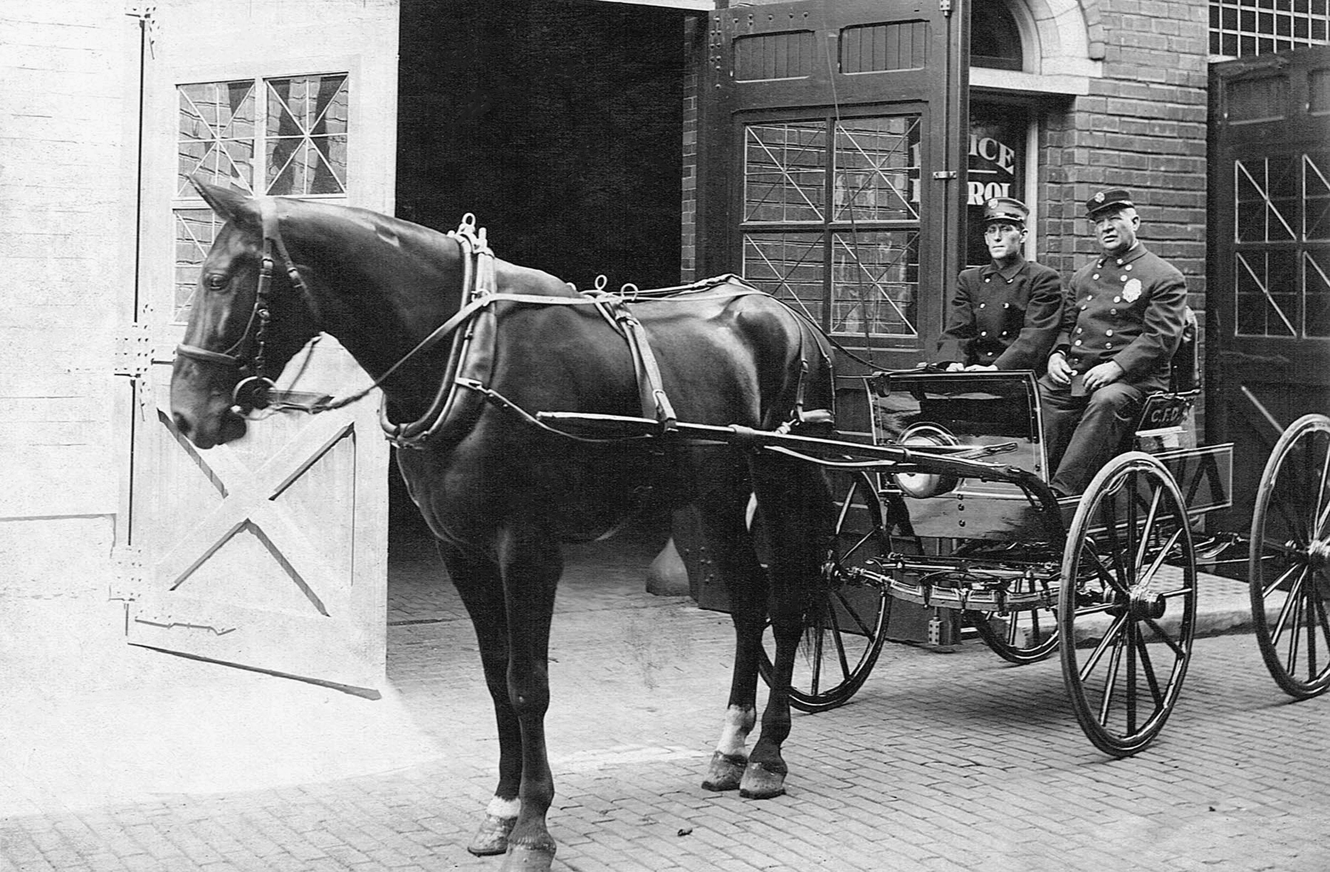 Stark County Memories: The Early Years - Image 5