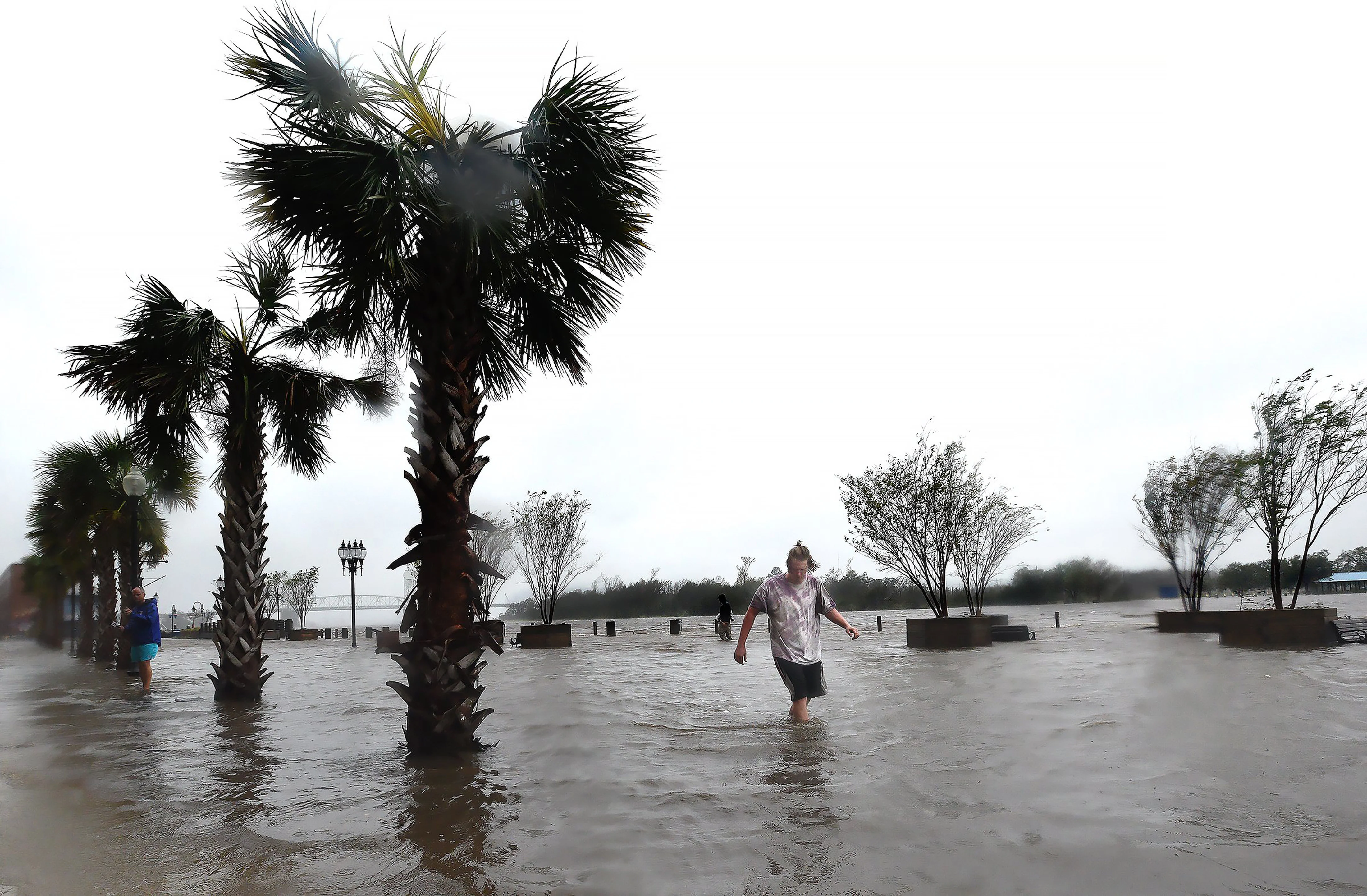 The Fury of Florence - Image 14