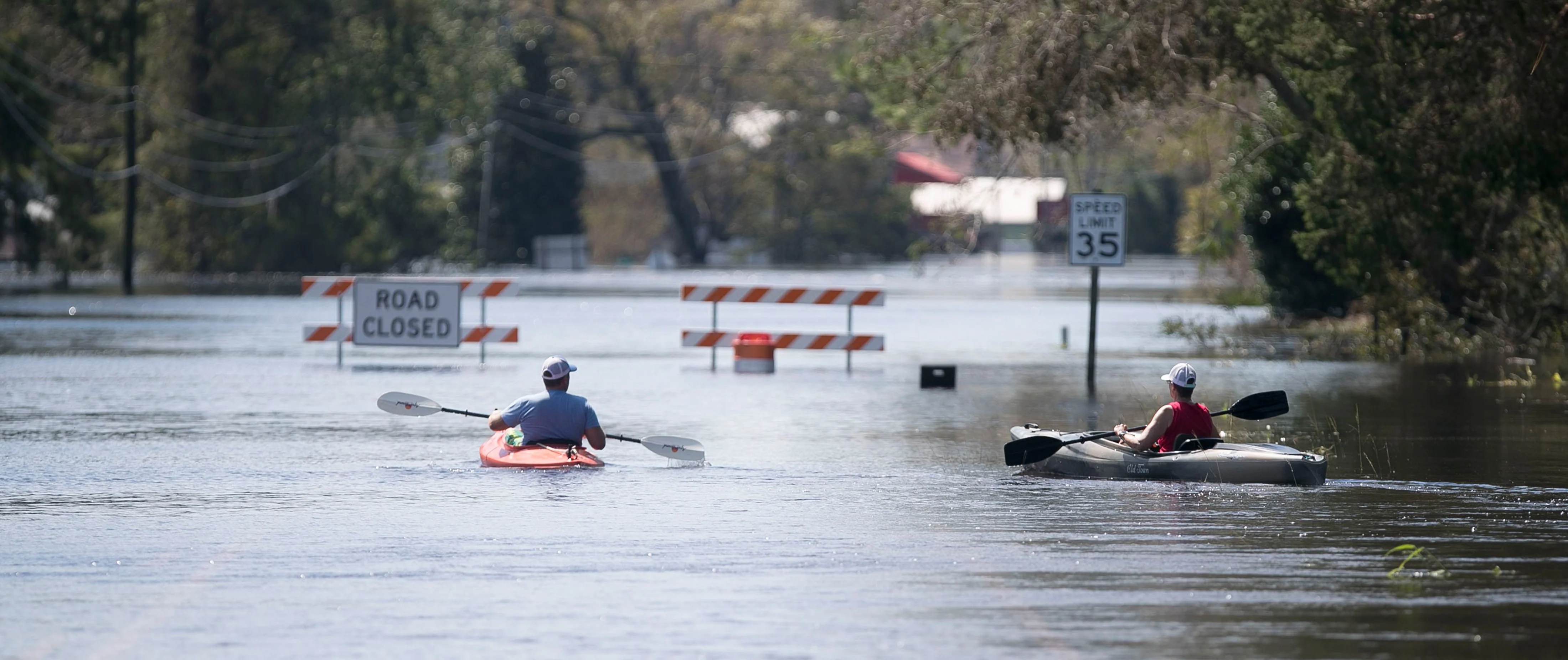 The Fury of Florence - Image 19