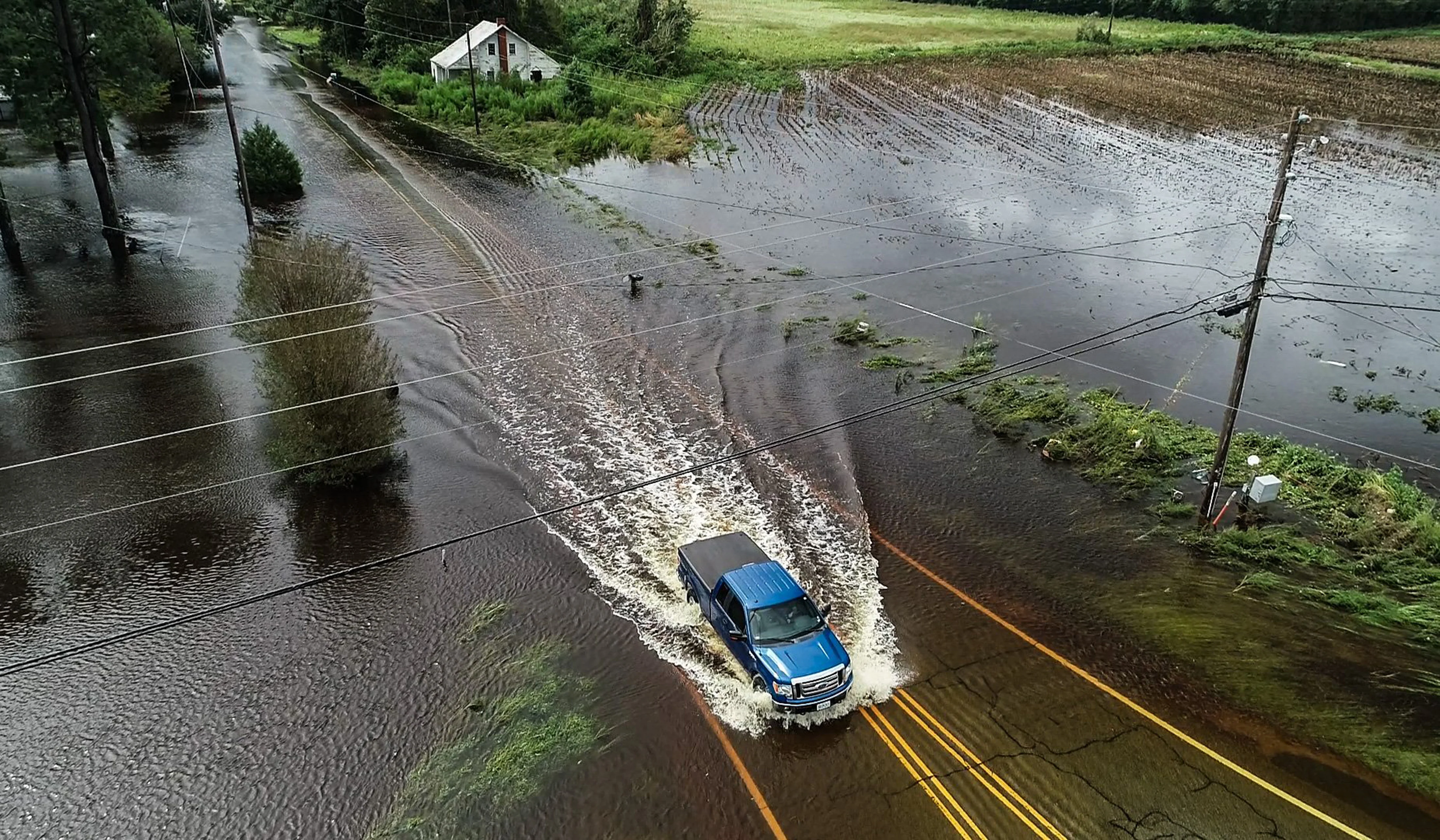 The Fury of Florence - Image 5