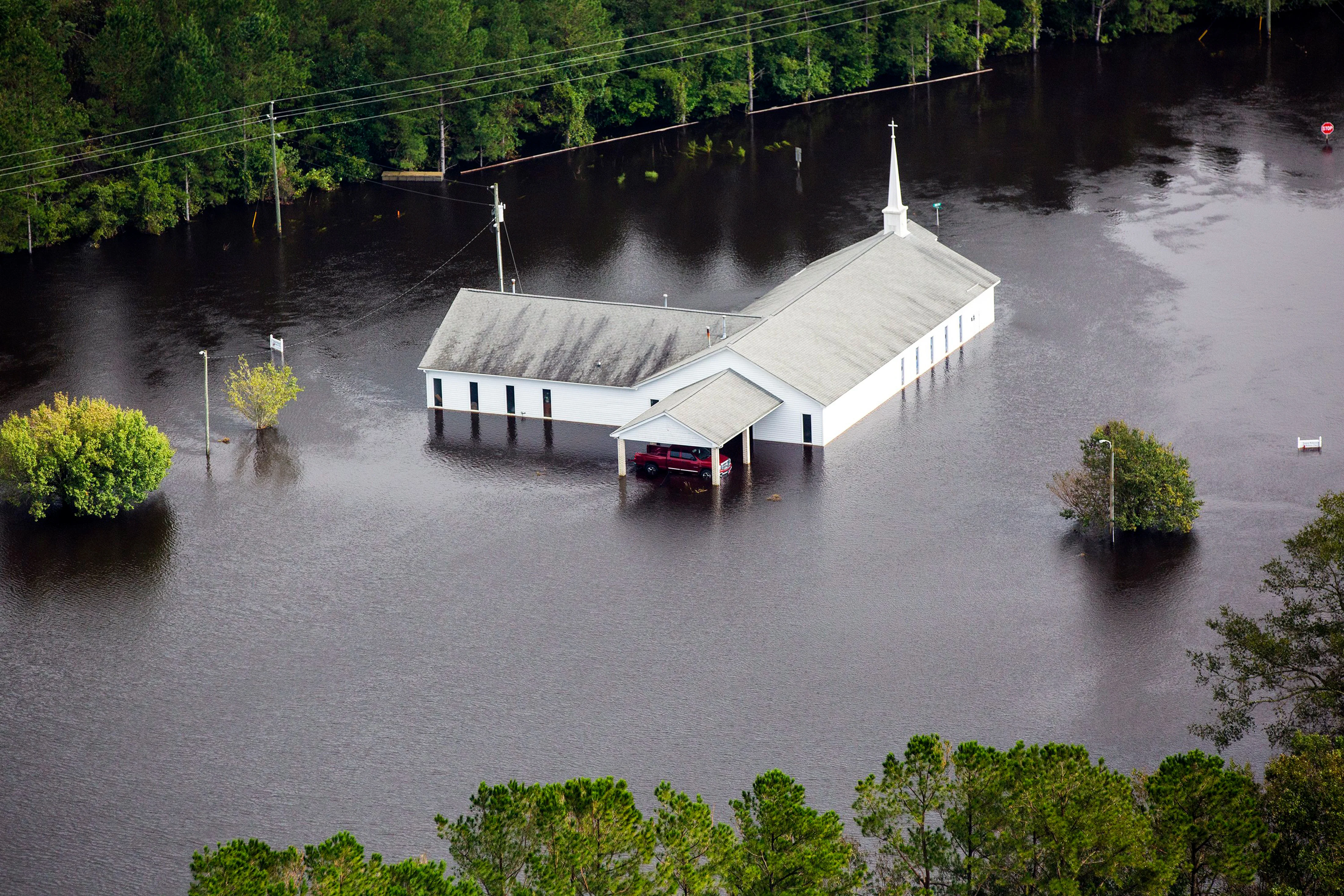 The Fury of Florence - Image 8