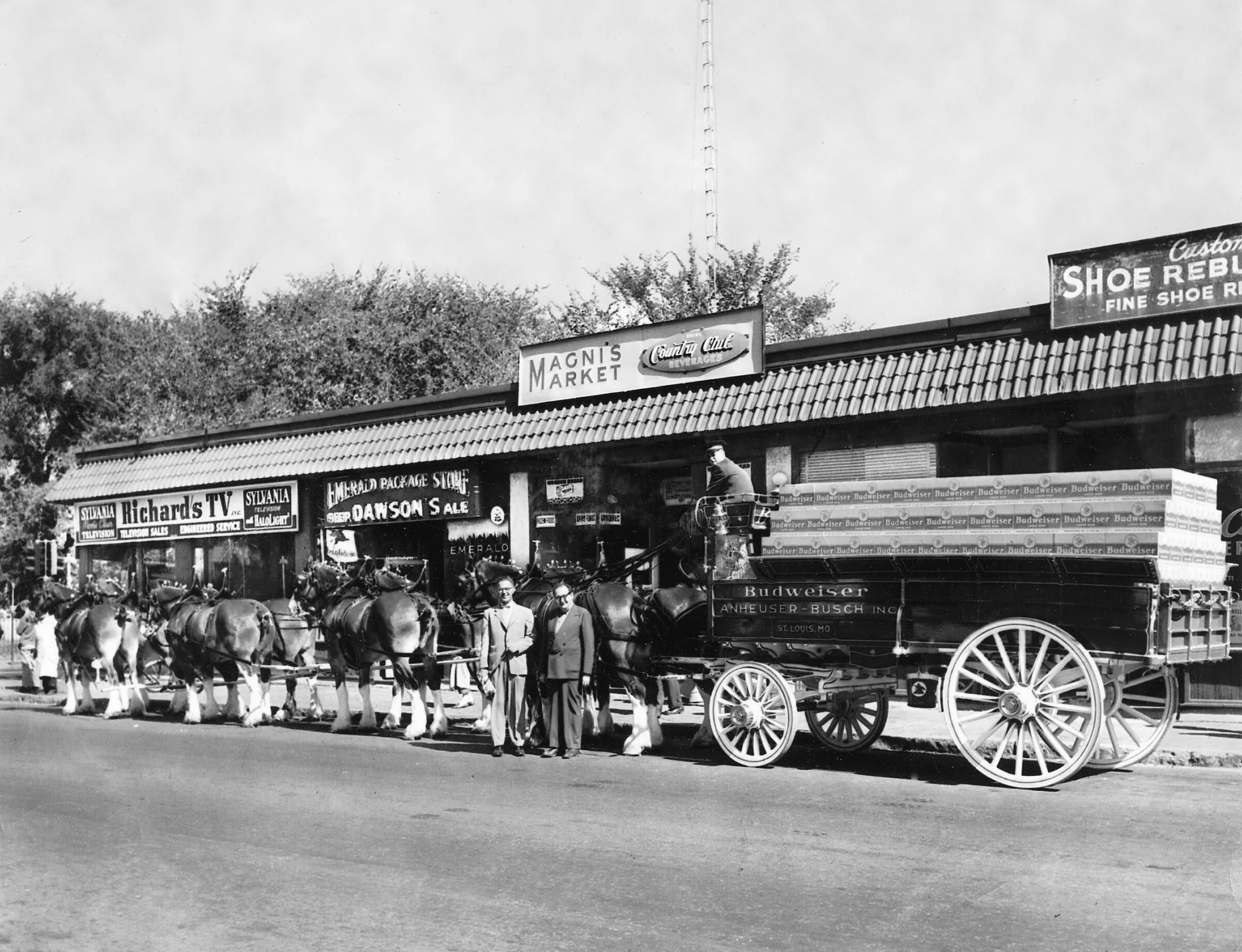The Irish Legacy: The History of the Irish in Western Massachusetts - Image 6