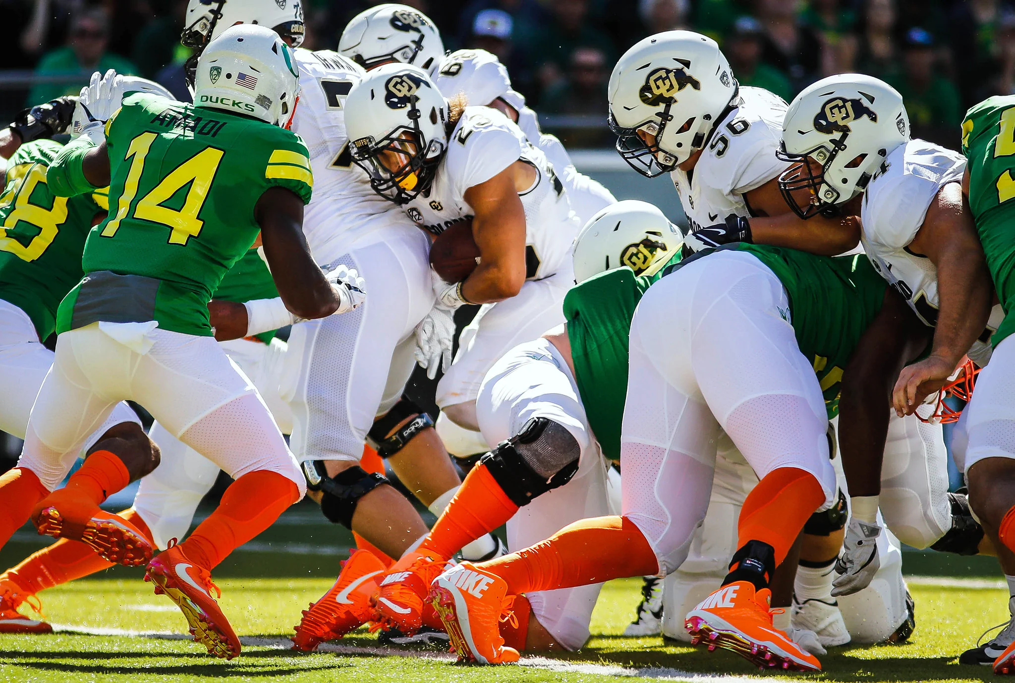 The Rise: The University of Colorado Buffaloes' Historic Turnaround Season - Image 6
