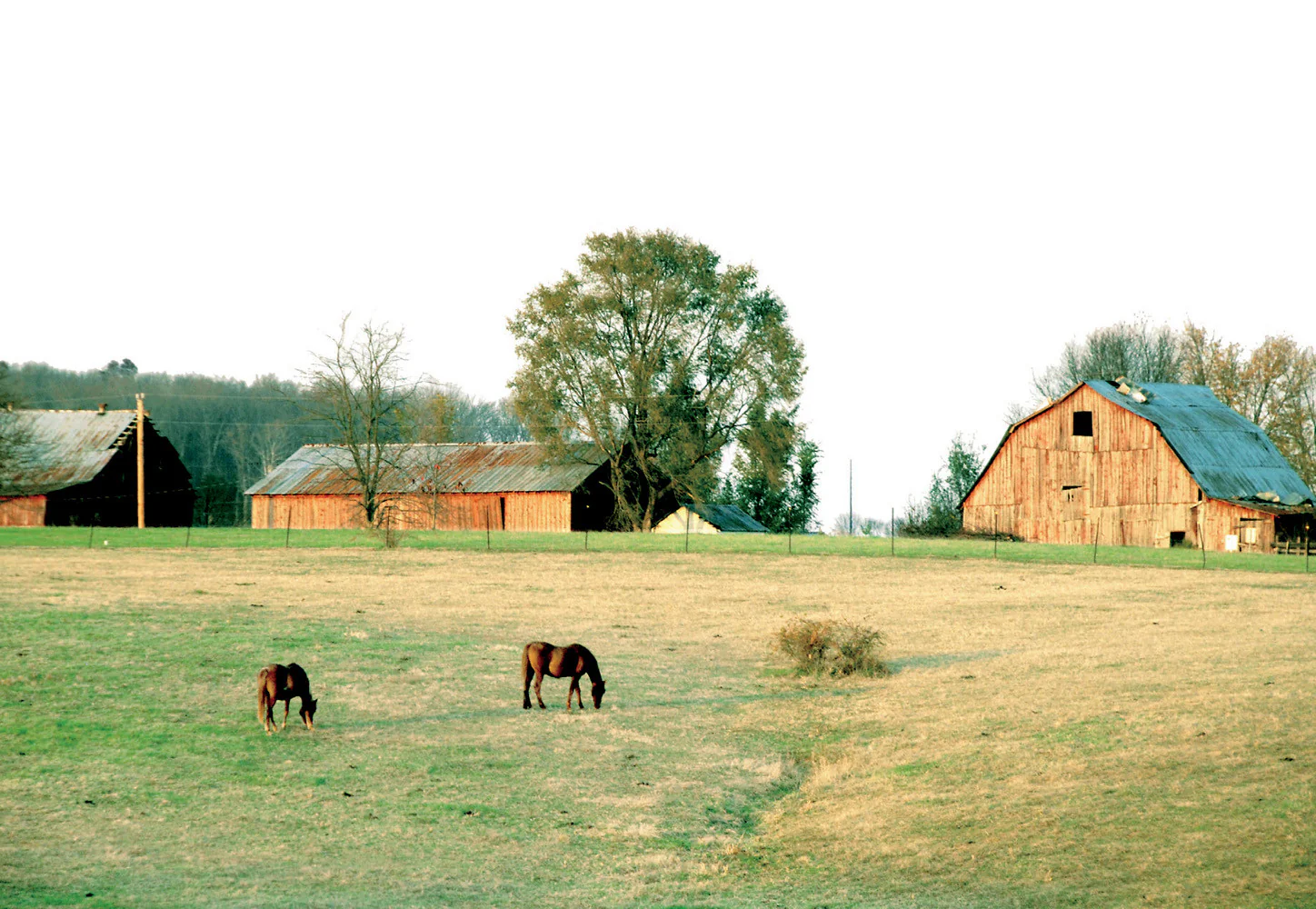 This is Kentucky - Image 8