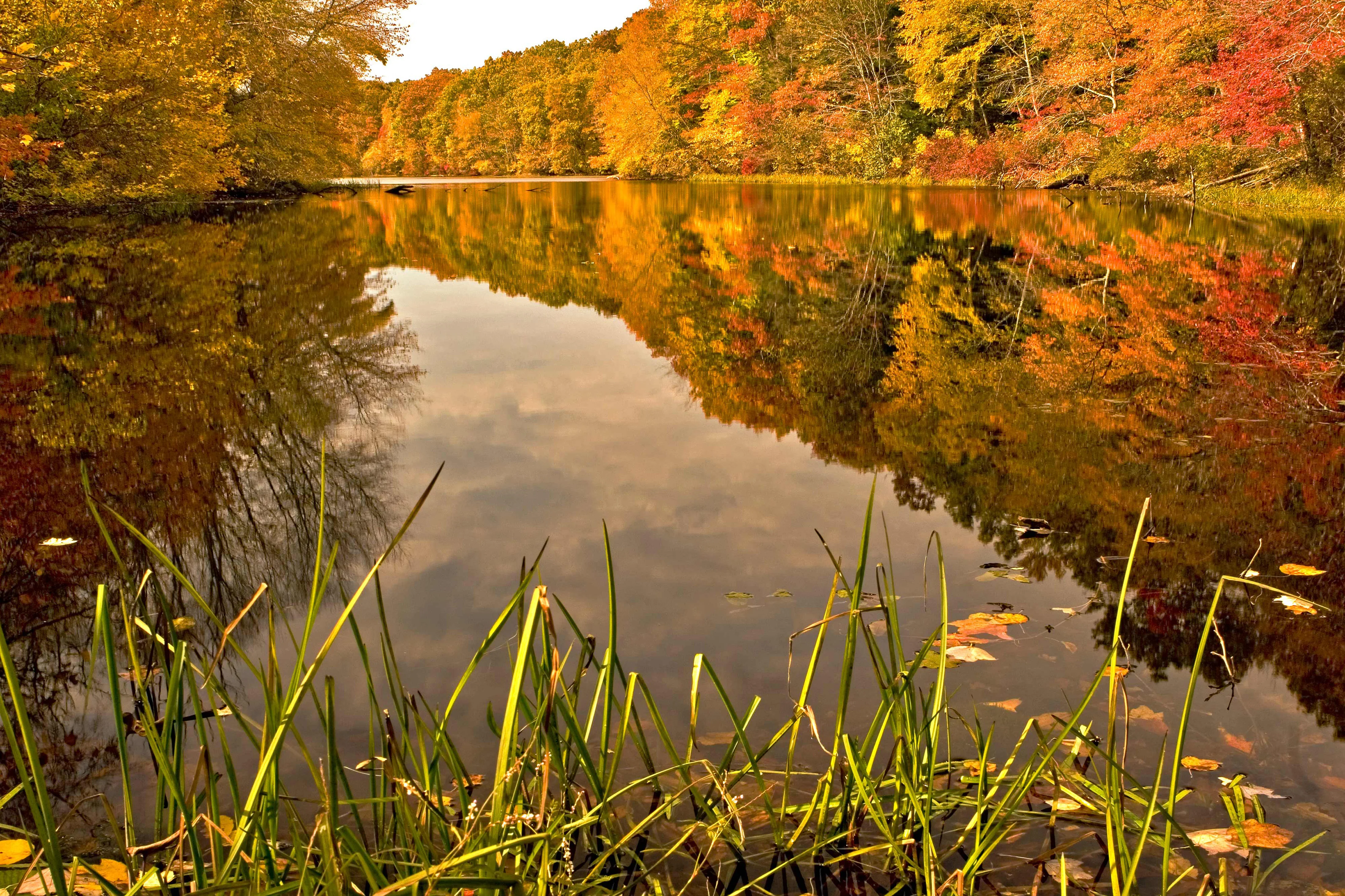 Treasures of Southeastern Connecticut: Our Proud History of Preserving Scenic Woodlands, Farms, the Shoreline and Other Natural Gems - Image 15