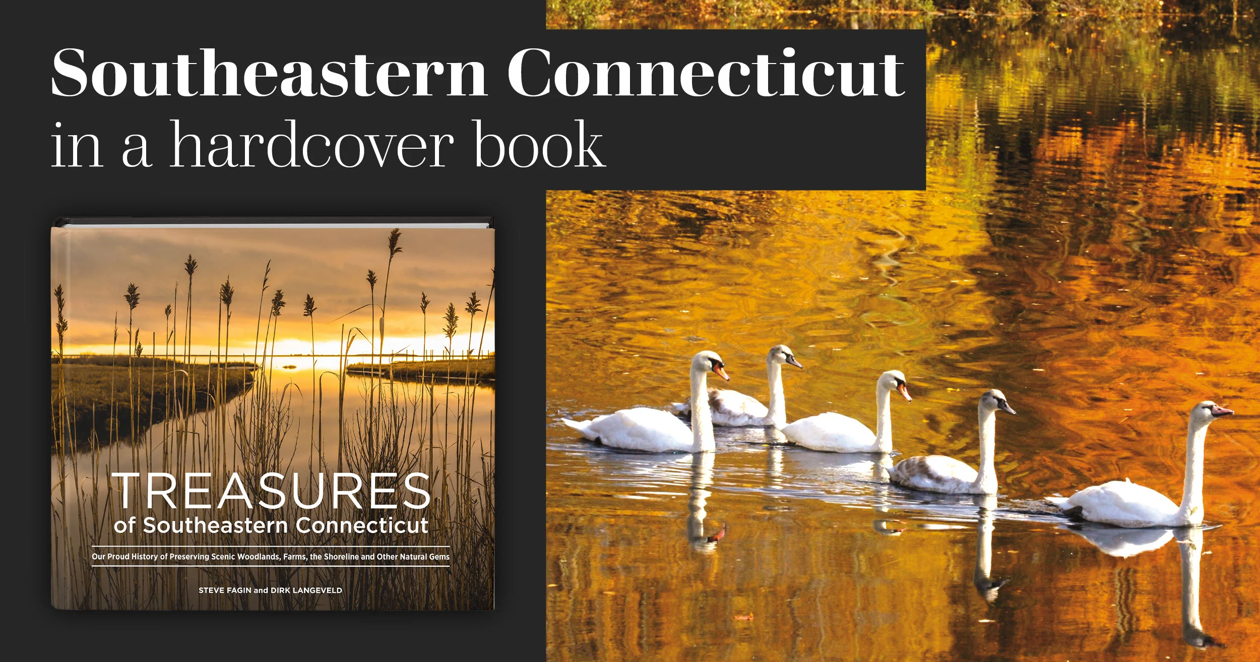 Treasures of Southeastern Connecticut: Our Proud History of Preserving Scenic Woodlands, Farms, the Shoreline and Other Natural Gems - Image 17