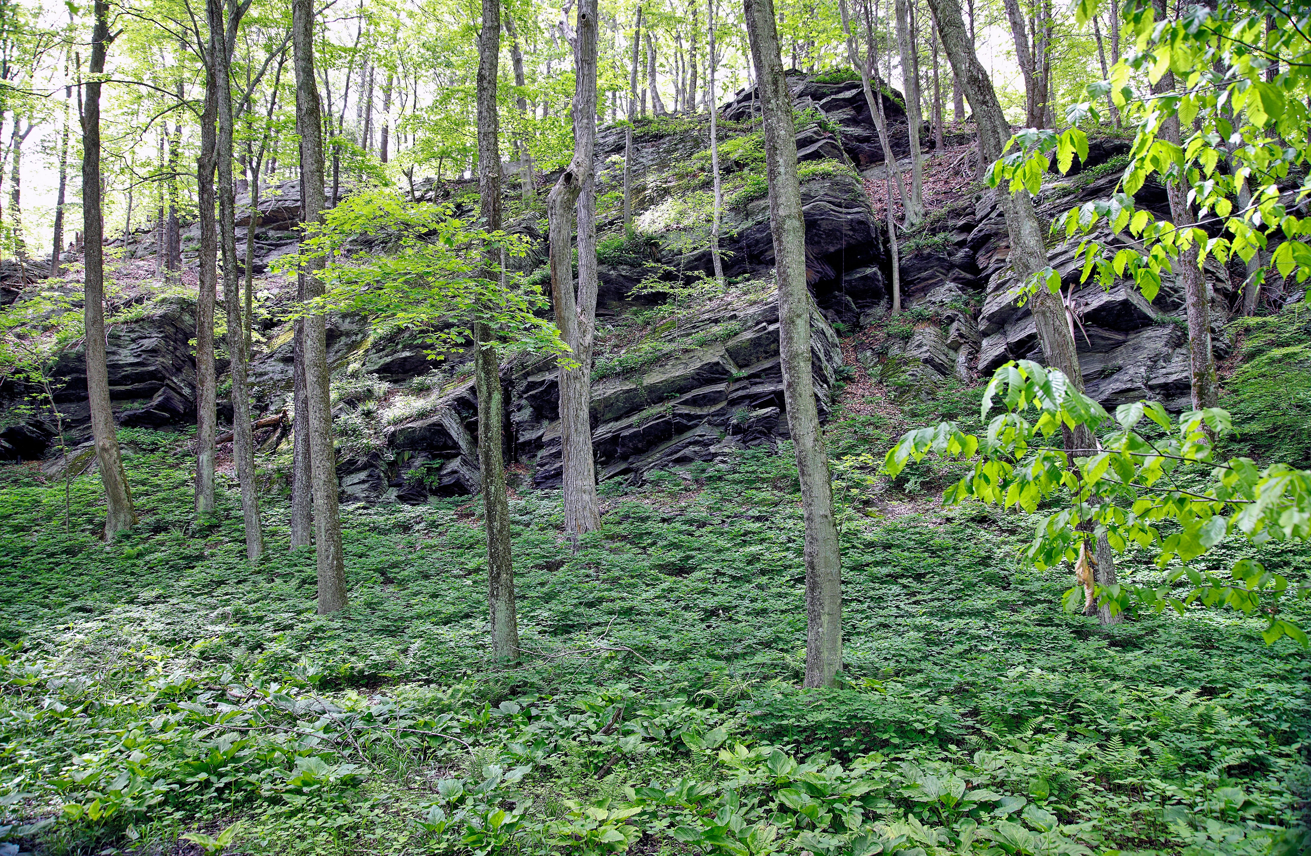 Treasures of Southeastern Connecticut: Our Proud History of Preserving Scenic Woodlands, Farms, the Shoreline and Other Natural Gems - Image 8