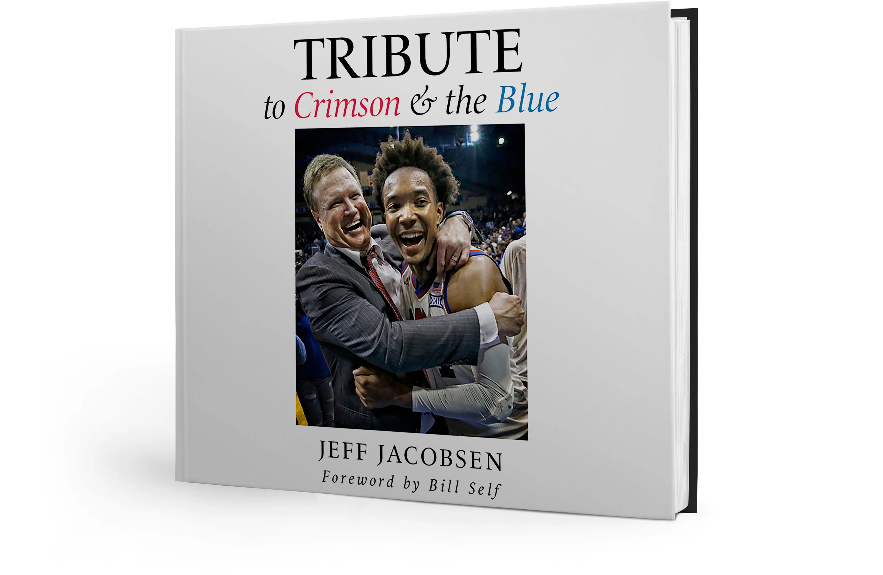Tribute to Crimson & the Blue - Image 18